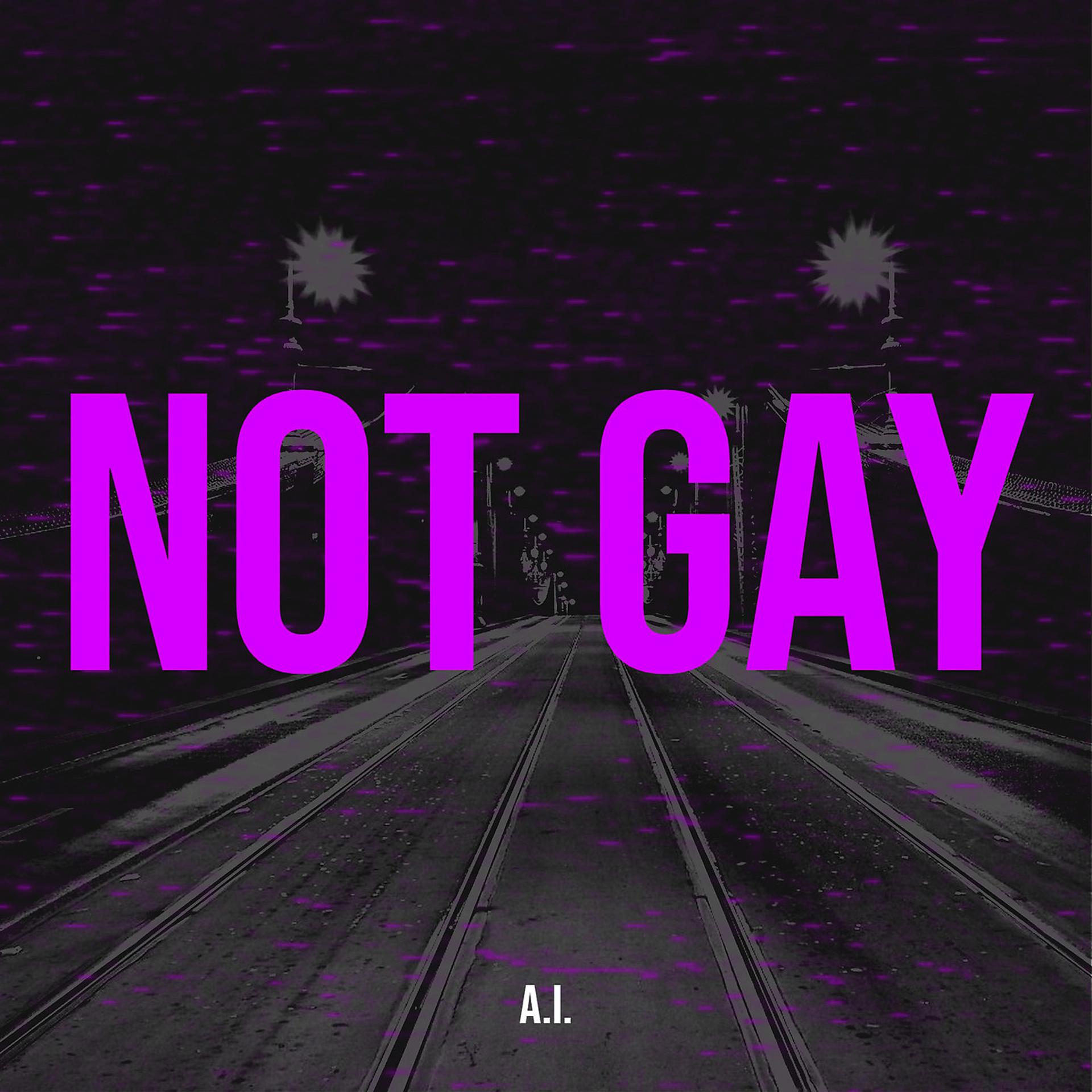 Постер альбома Not Gay
