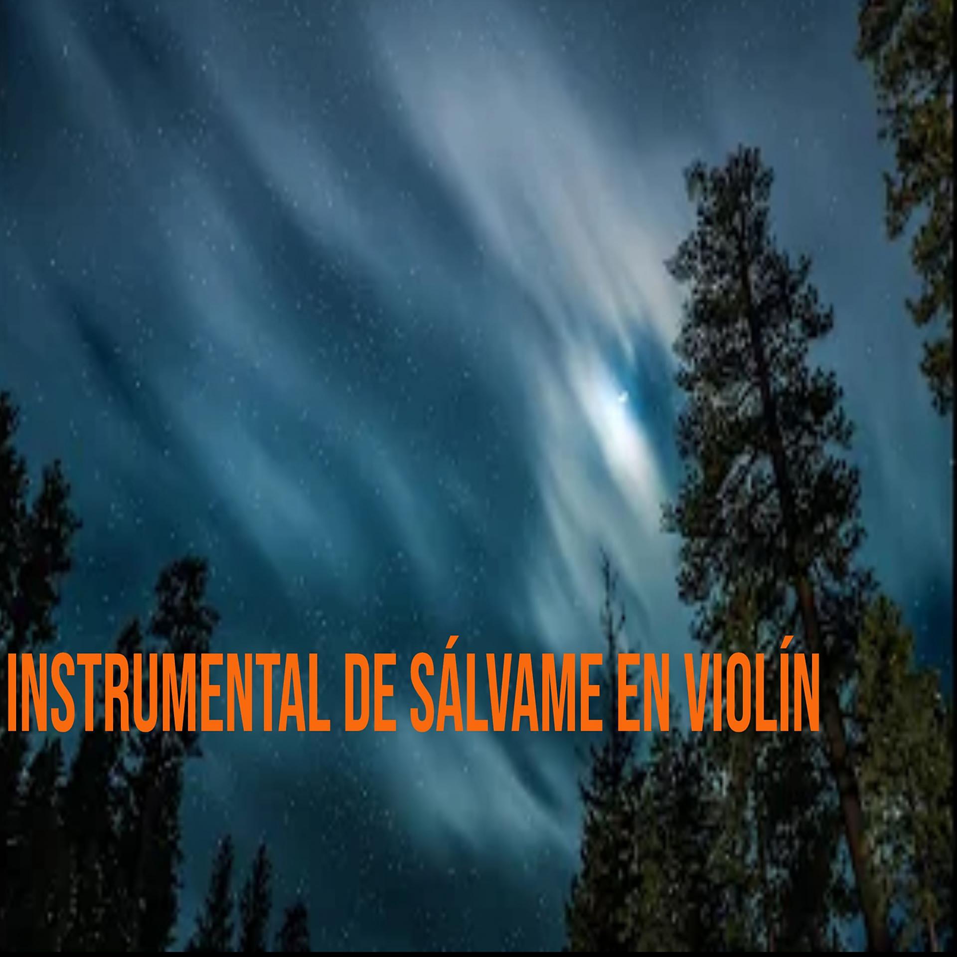 Постер альбома Instrumental De Sálvame En Violín