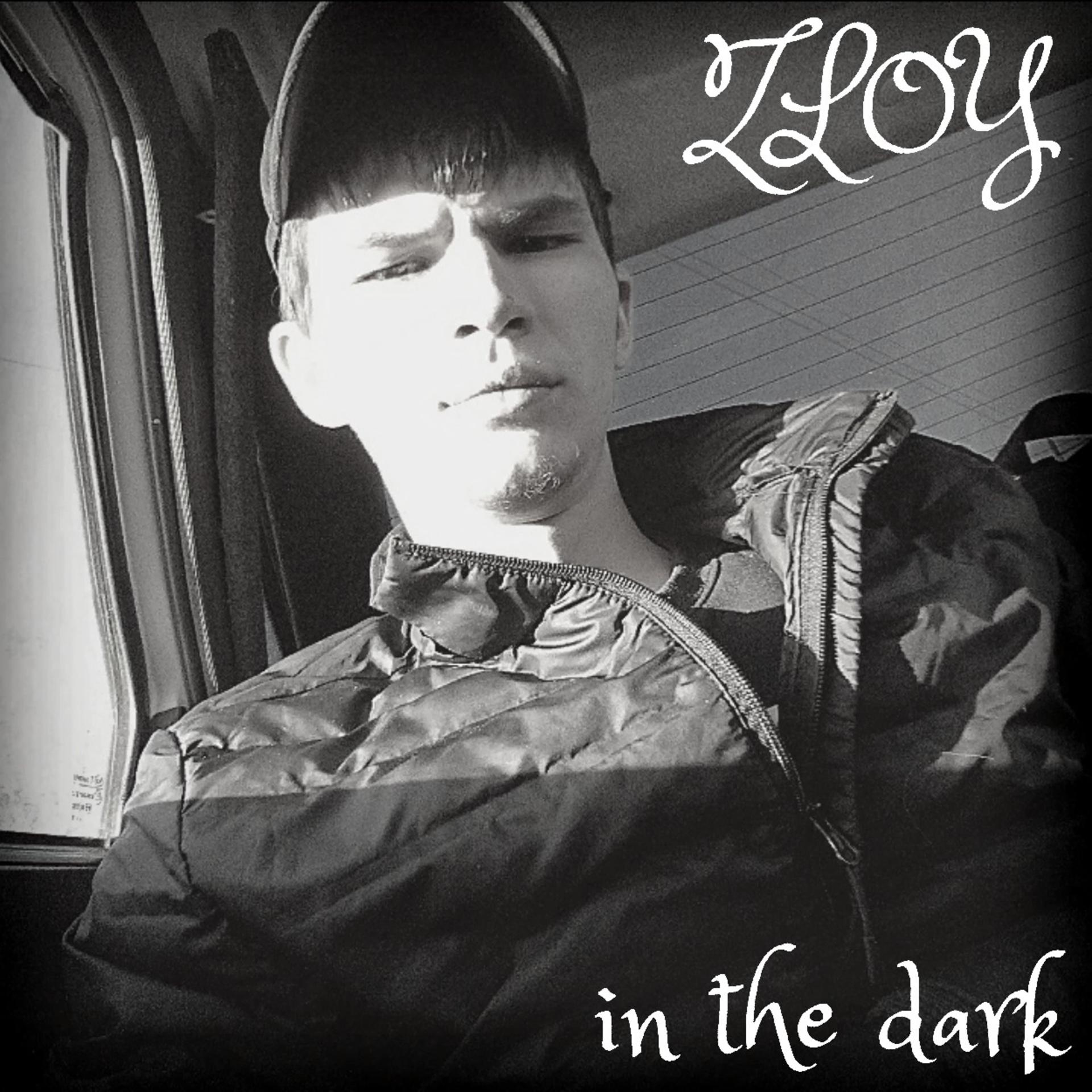 Постер альбома In the Dark