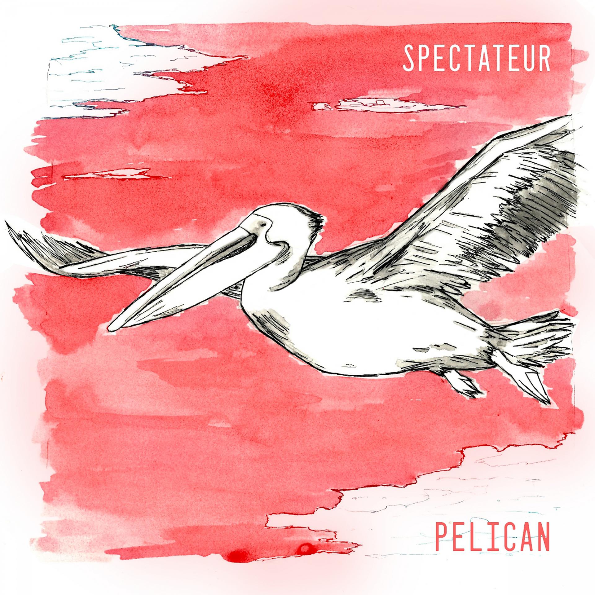 Постер альбома Pelican