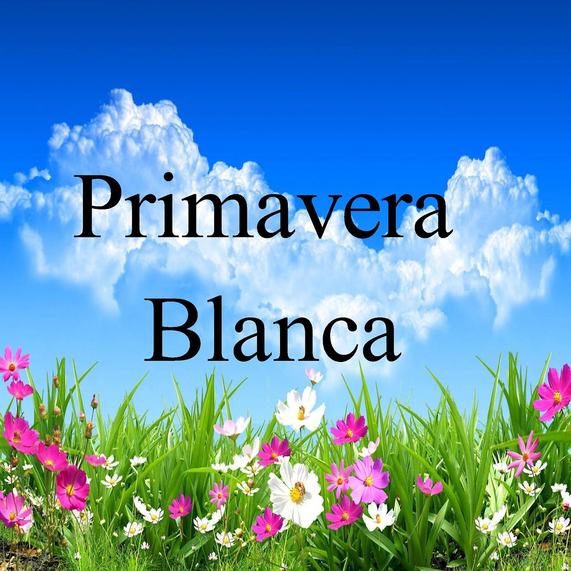Постер альбома Primavera Blanca