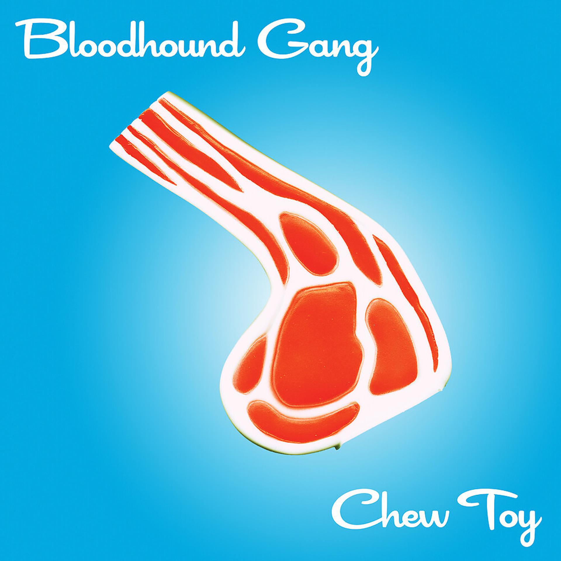 Постер альбома Chew Toy