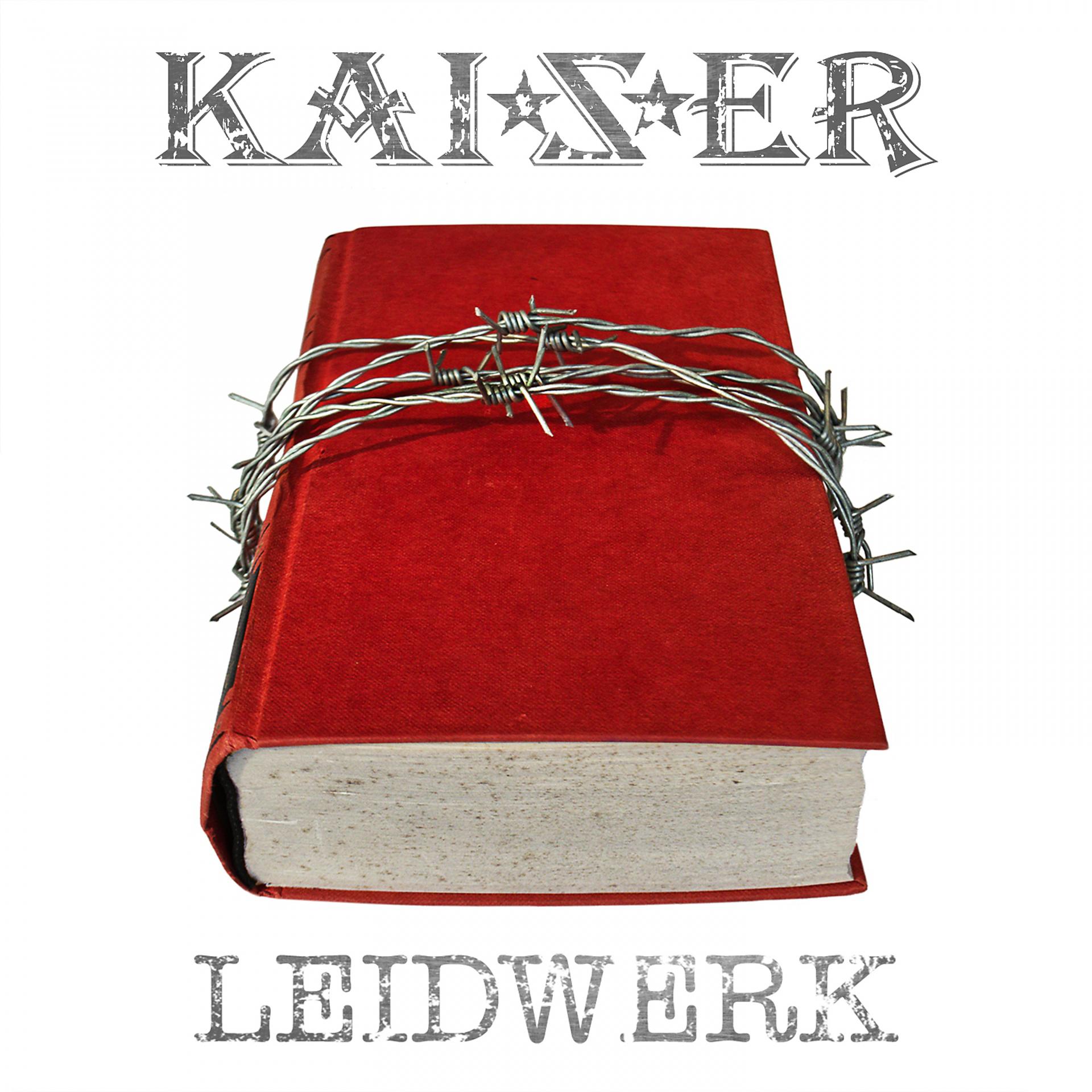 Постер альбома Leidwerk