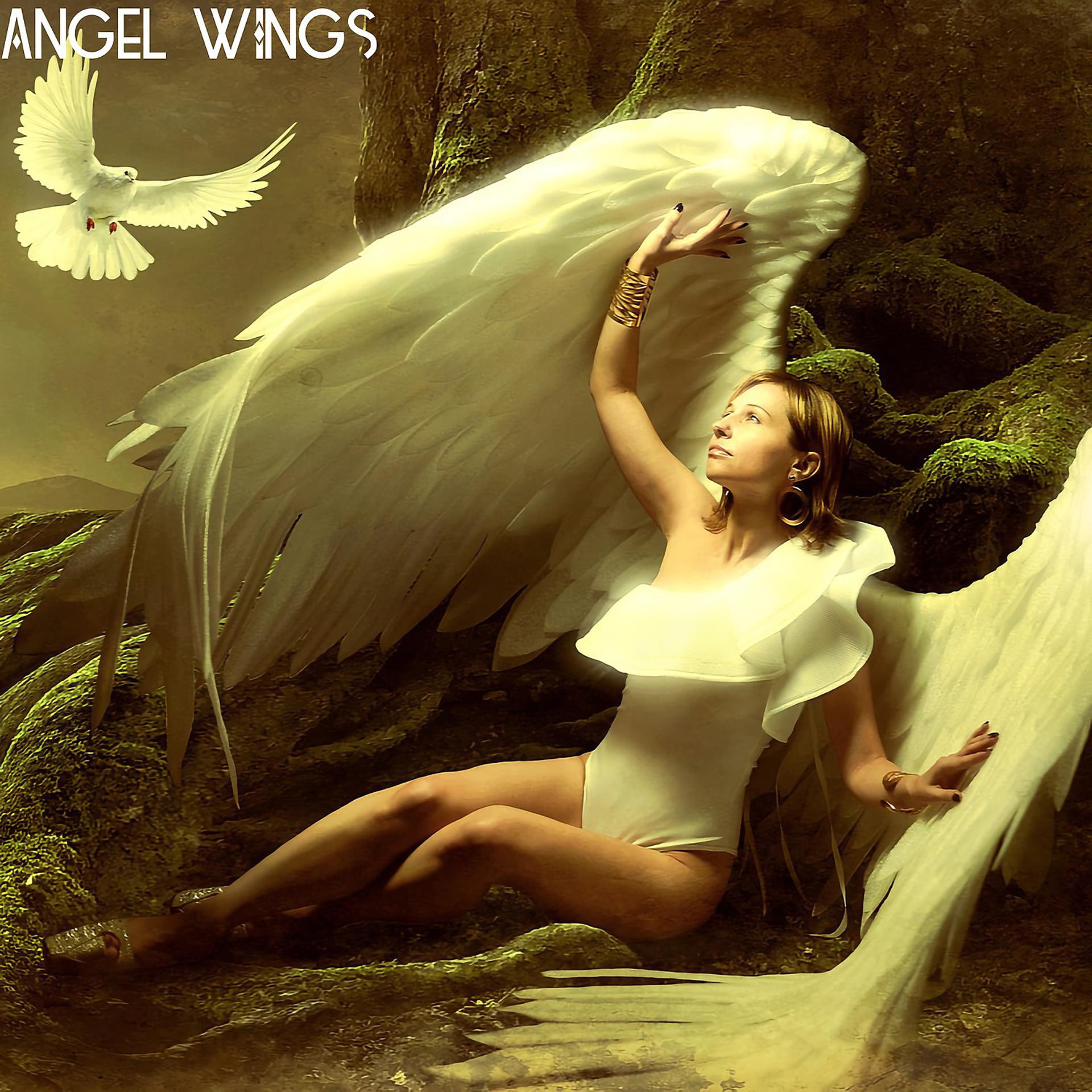 Постер альбома Angel Wings