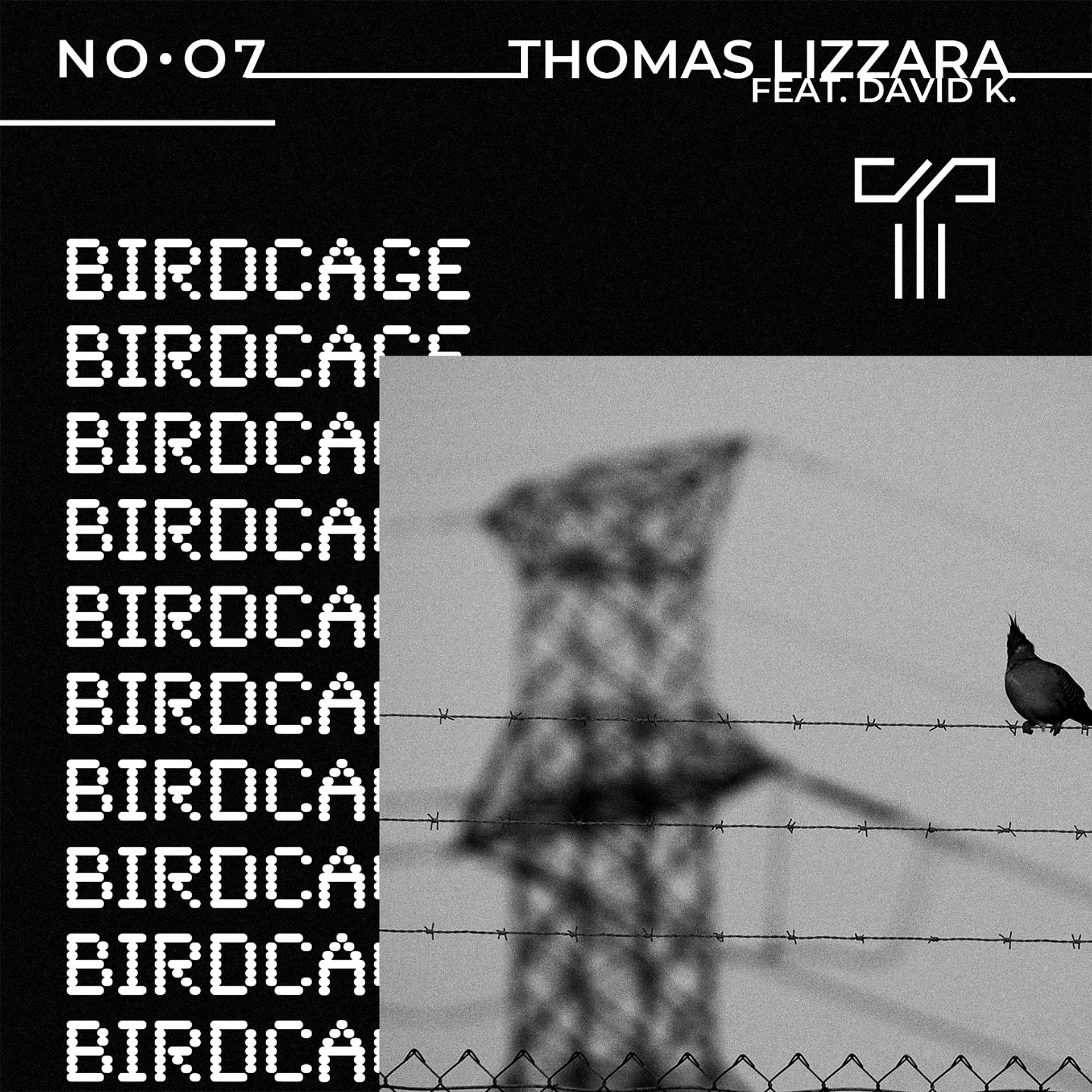 Постер альбома Birdcage