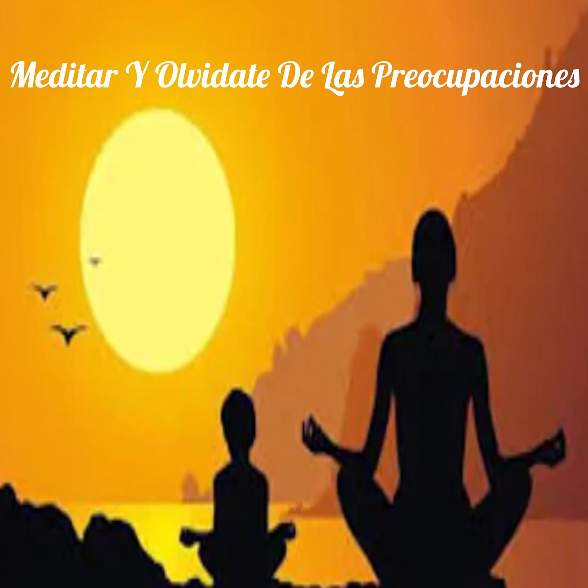 Постер альбома Medita Y Olvídate De Las Preocupaciones