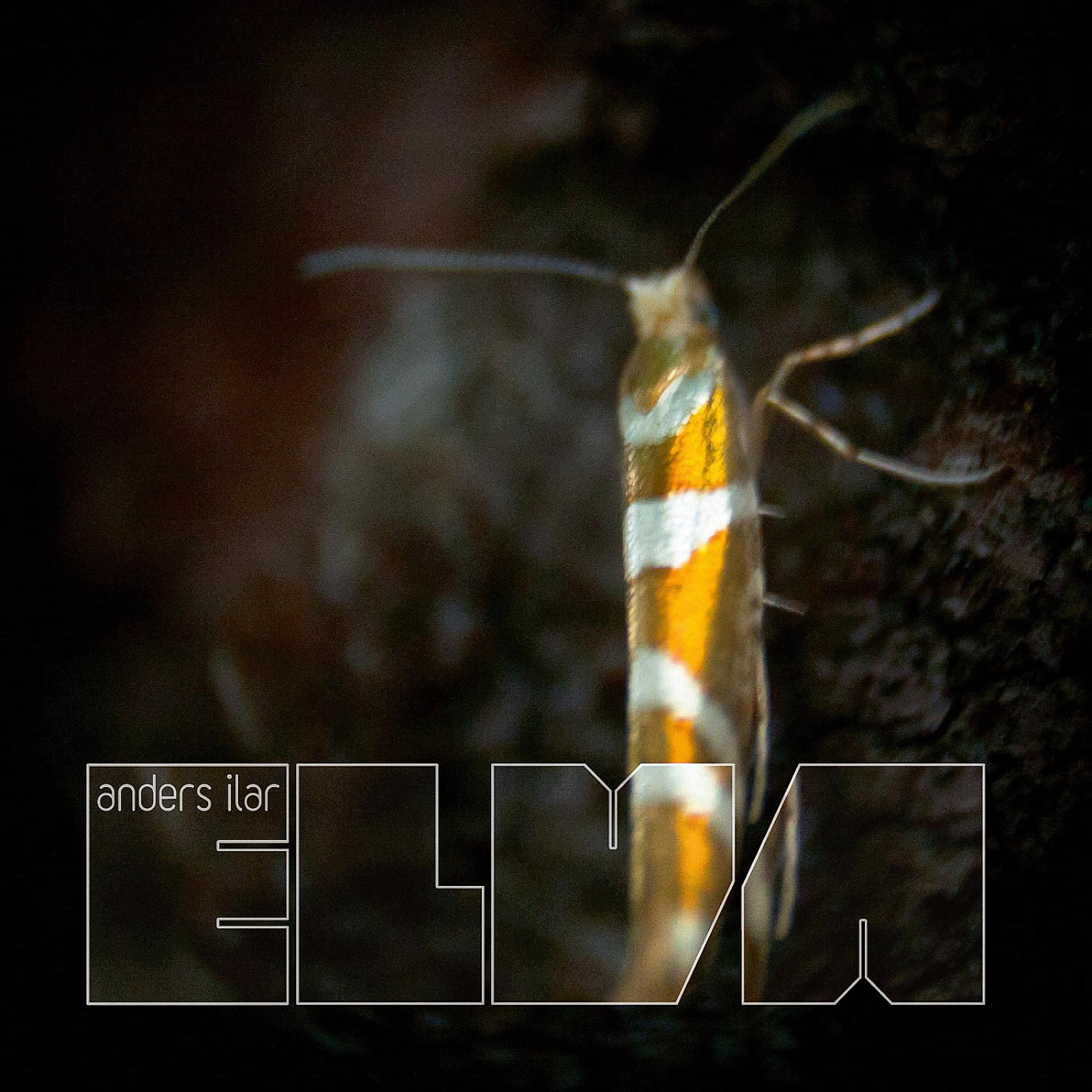 Постер альбома Elva