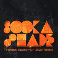 Постер альбома Teenage Spaceman (2020 Remixes)