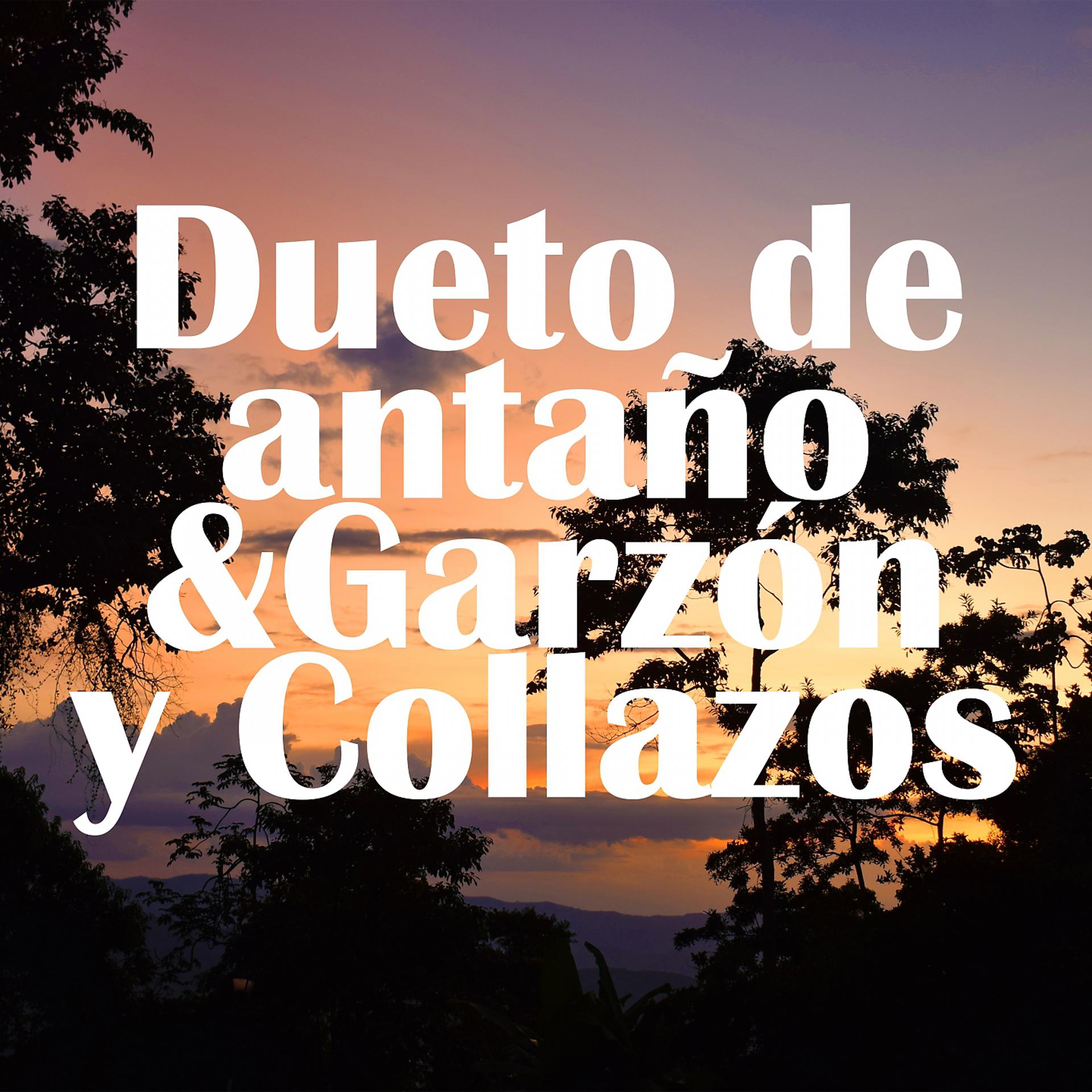 Постер альбома Dueto de Antaño & Garzon y Collazos