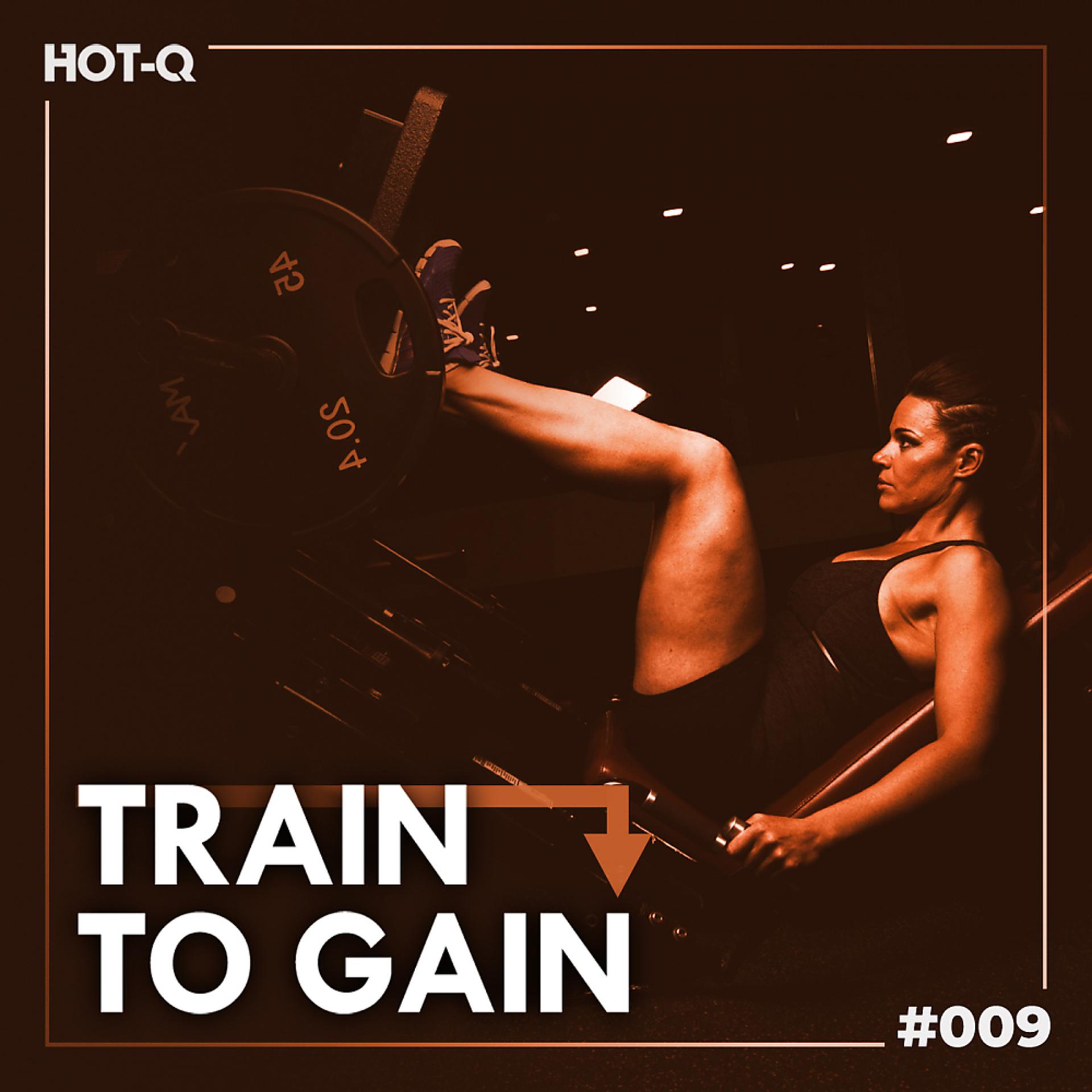 Постер альбома Train To Gain 009