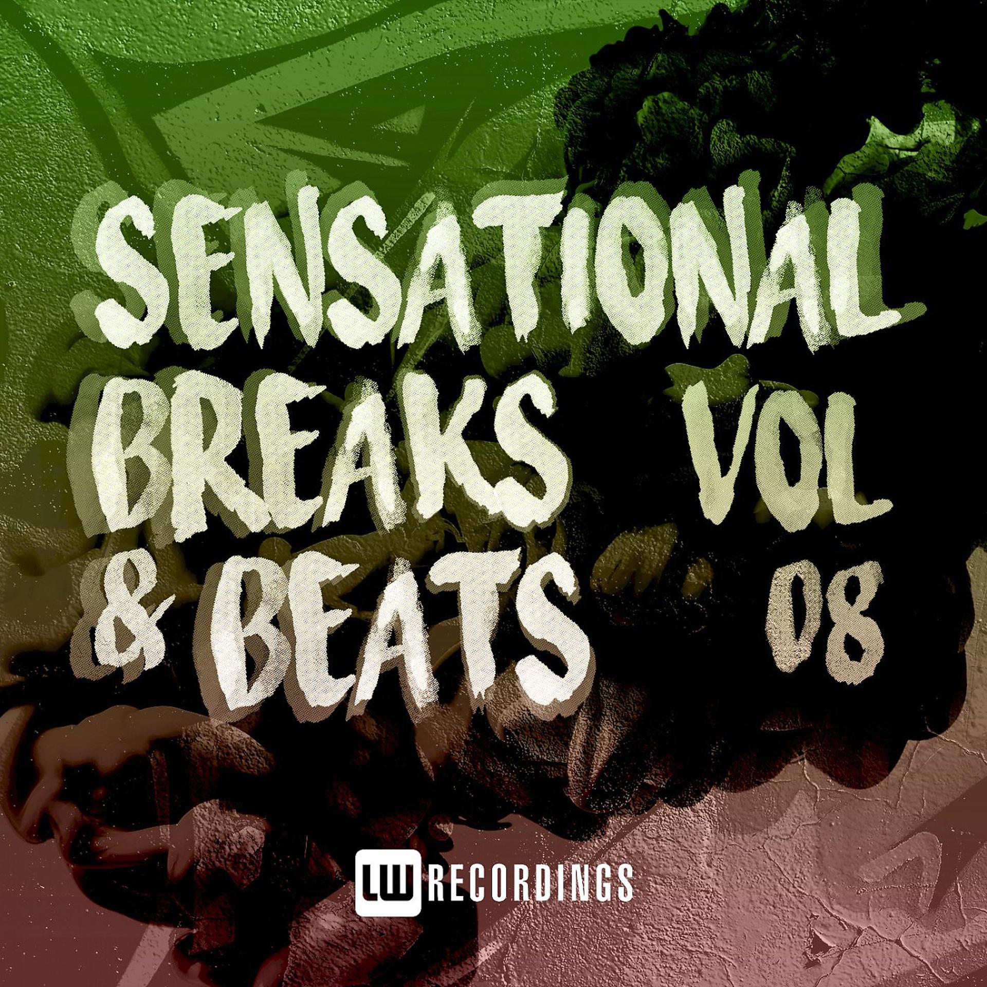 Постер альбома Sensational Breaks & Beats, Vol. 08