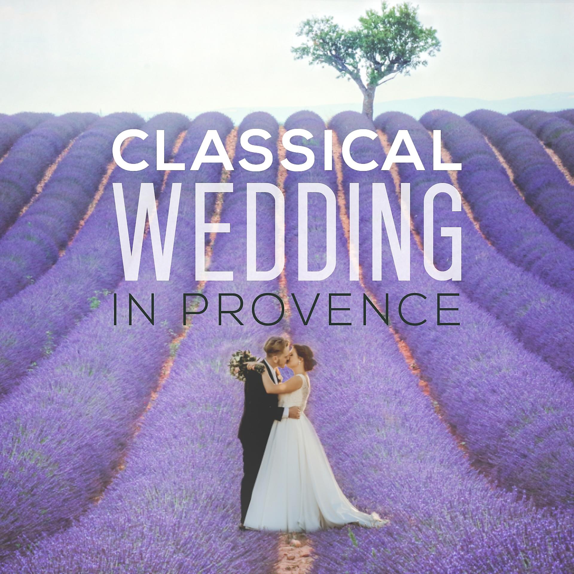 Постер альбома Classical Wedding in Provence