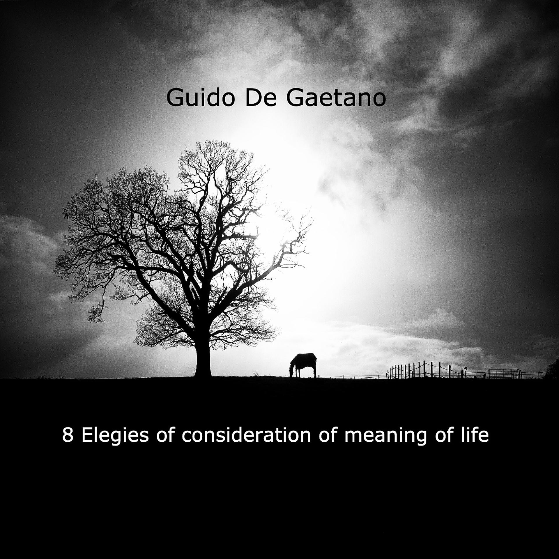 Постер альбома Elegies of consideration of the meaning of life