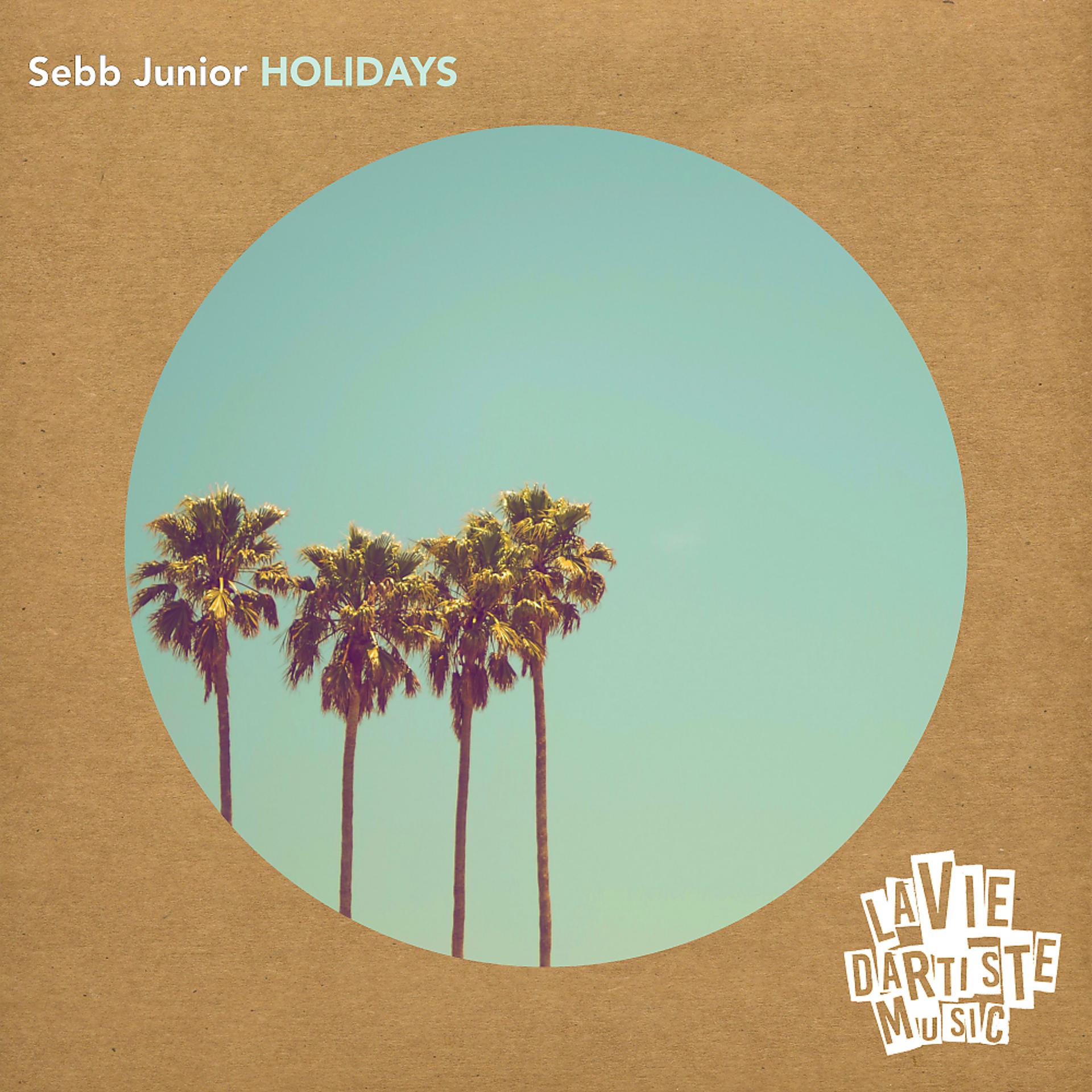 Постер альбома Holidays