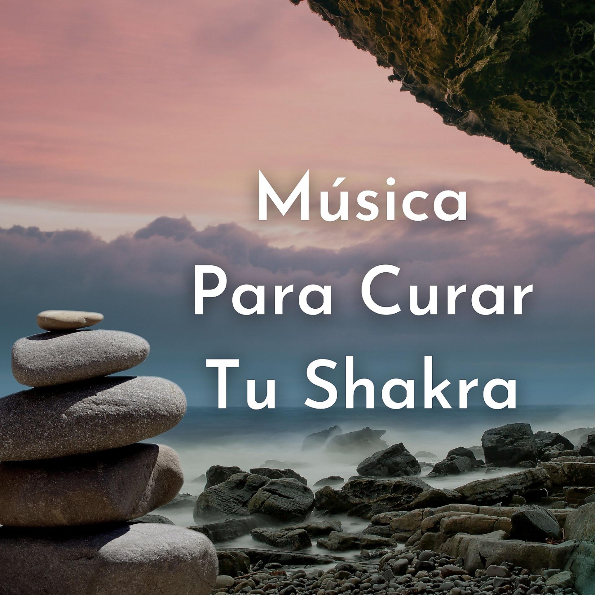 Постер альбома Música para Curar Tu Shakra