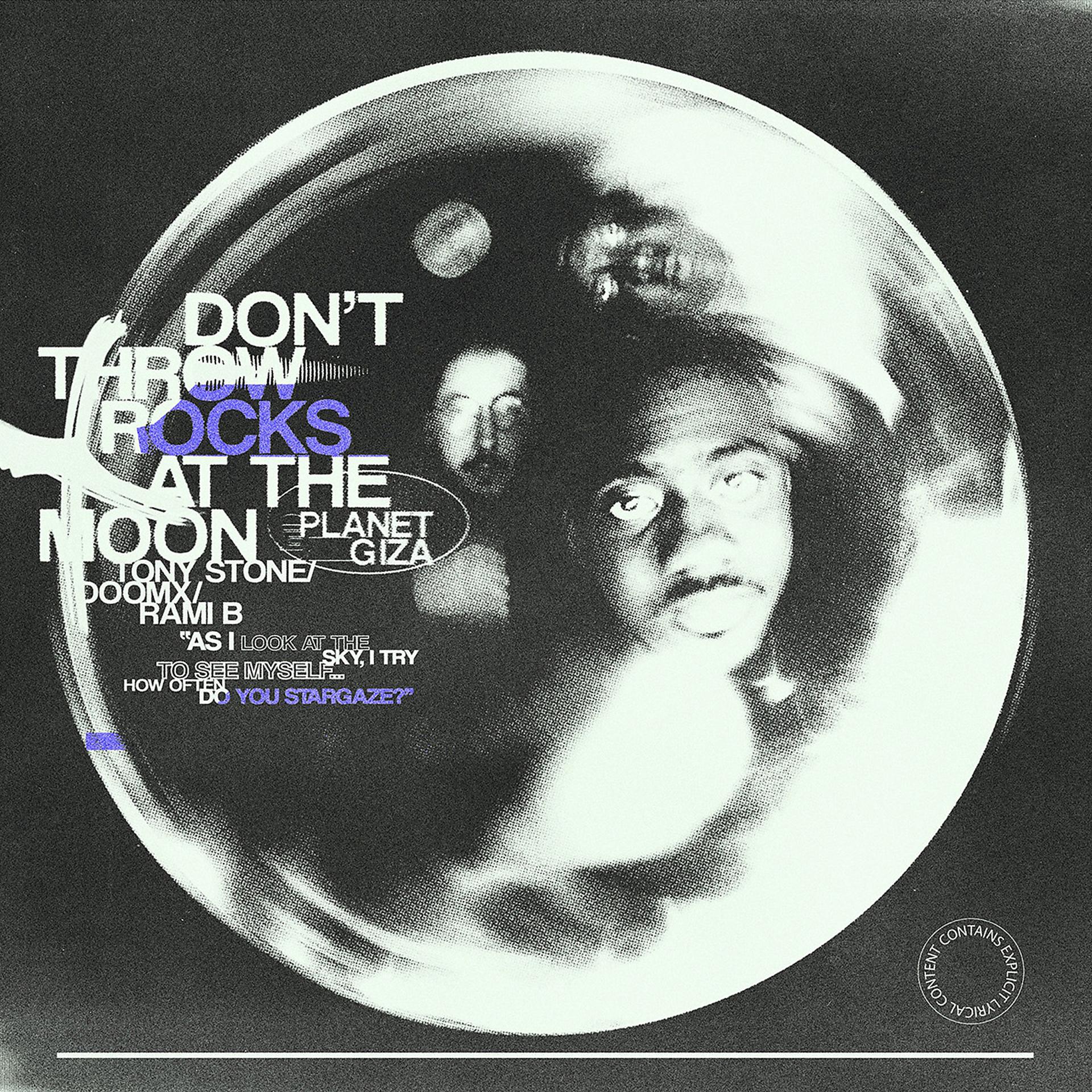 Постер альбома Don't Throw Rocks At The Moon