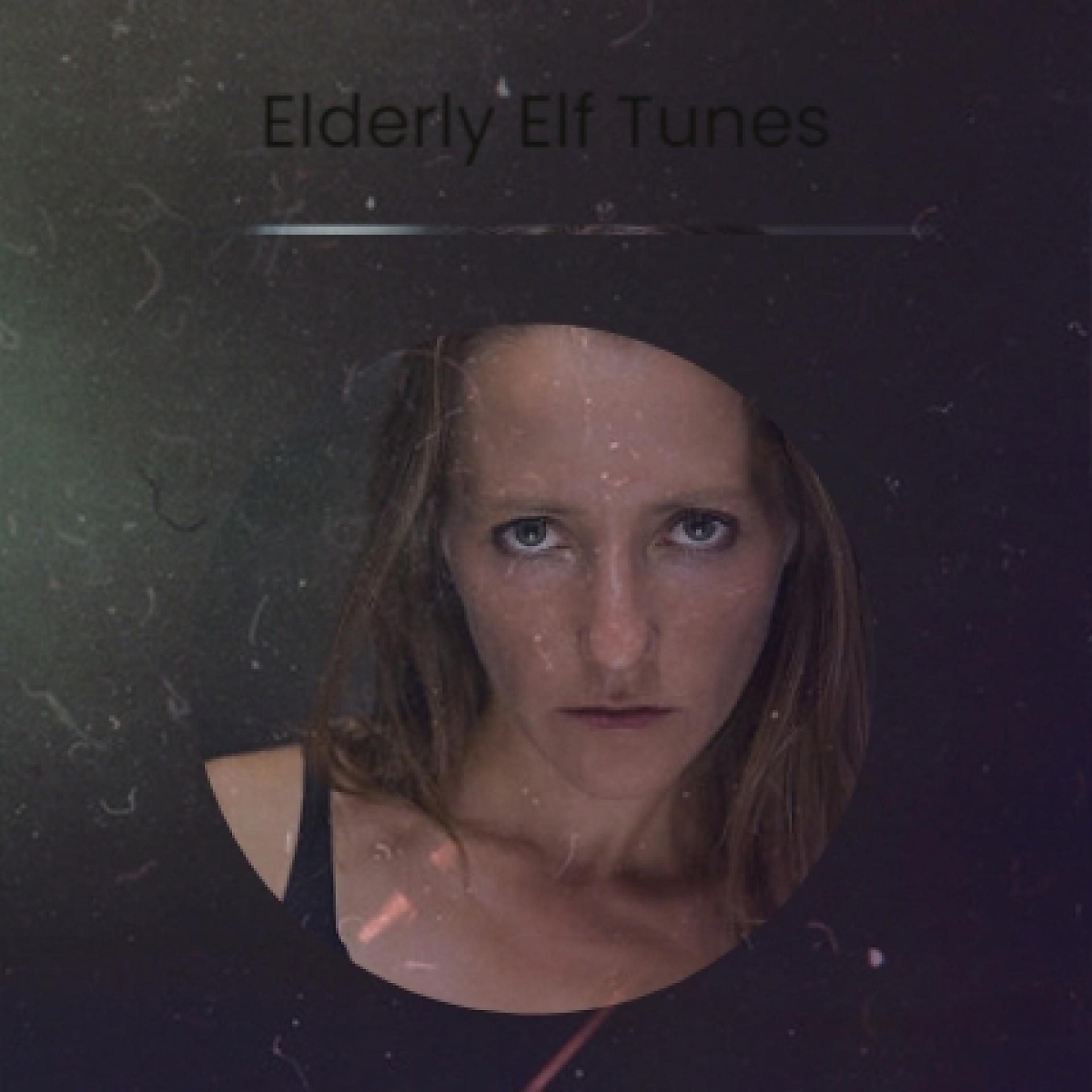 Постер альбома Elderly Elf Tunes
