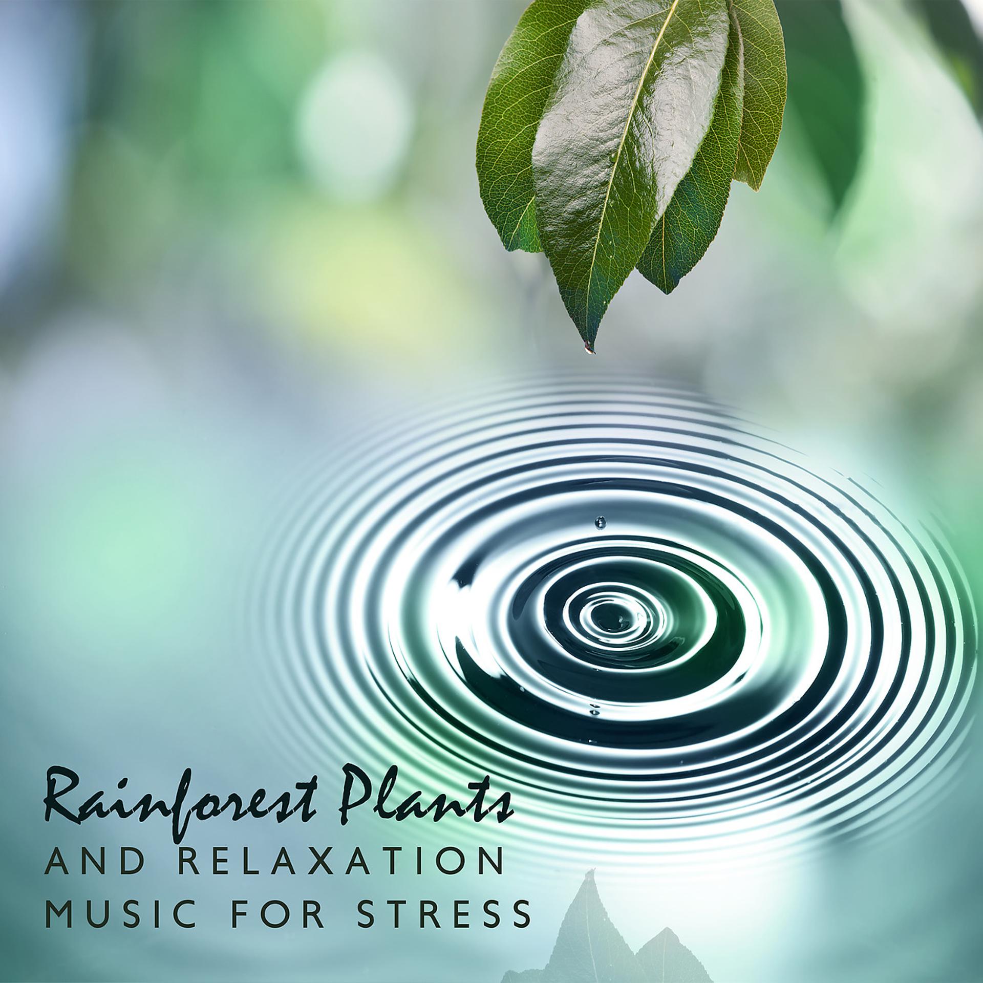 Постер альбома Rainforest Plants and Relaxation Music for Stress Relief (Nature Ambient Sounds)