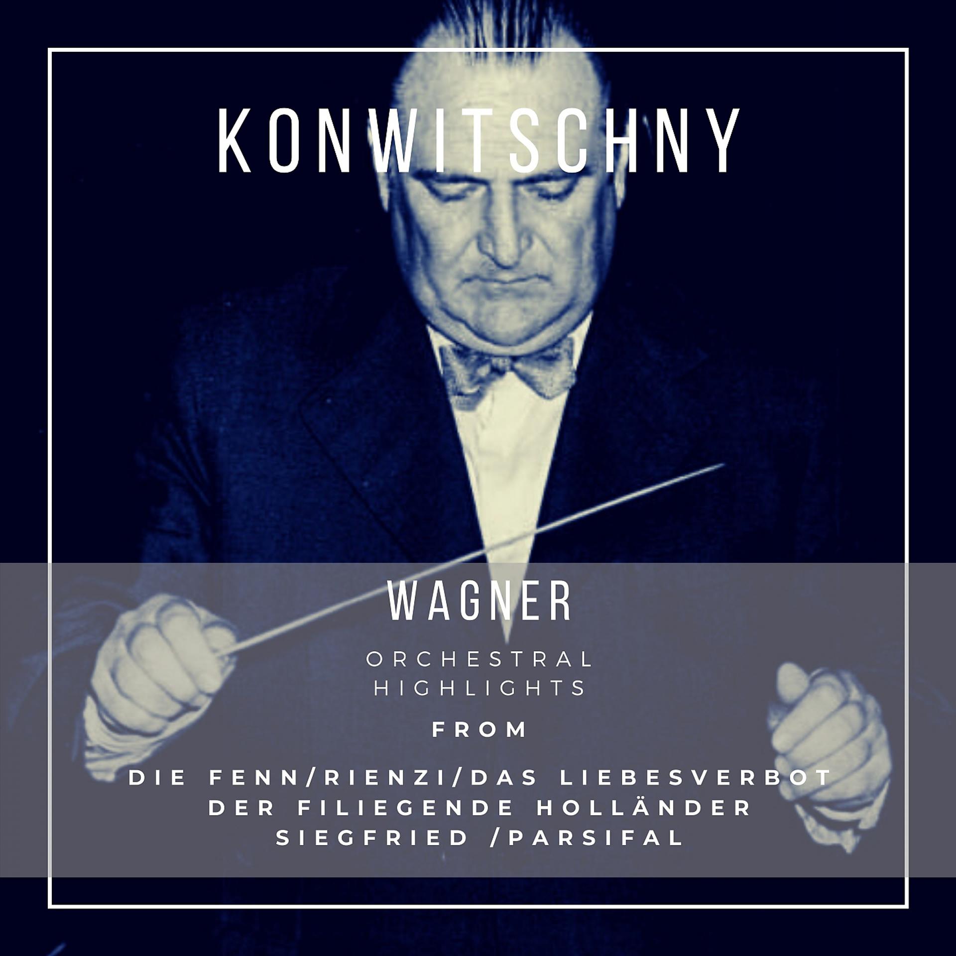 Постер альбома Orchestral Highlights : Richard Wagner