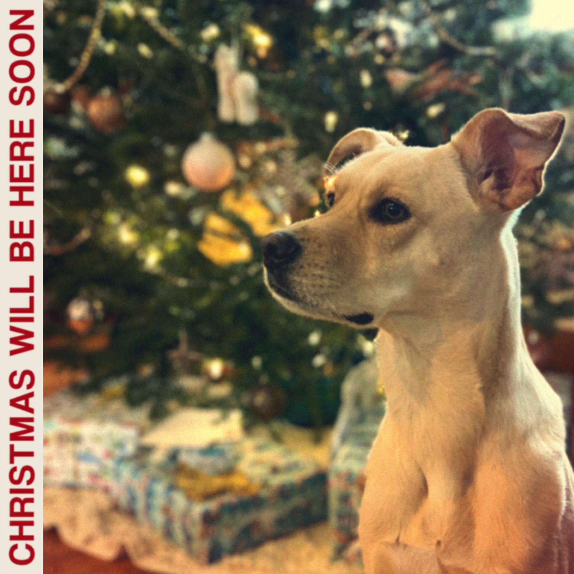 Постер альбома Christmas Will Be Here Soon