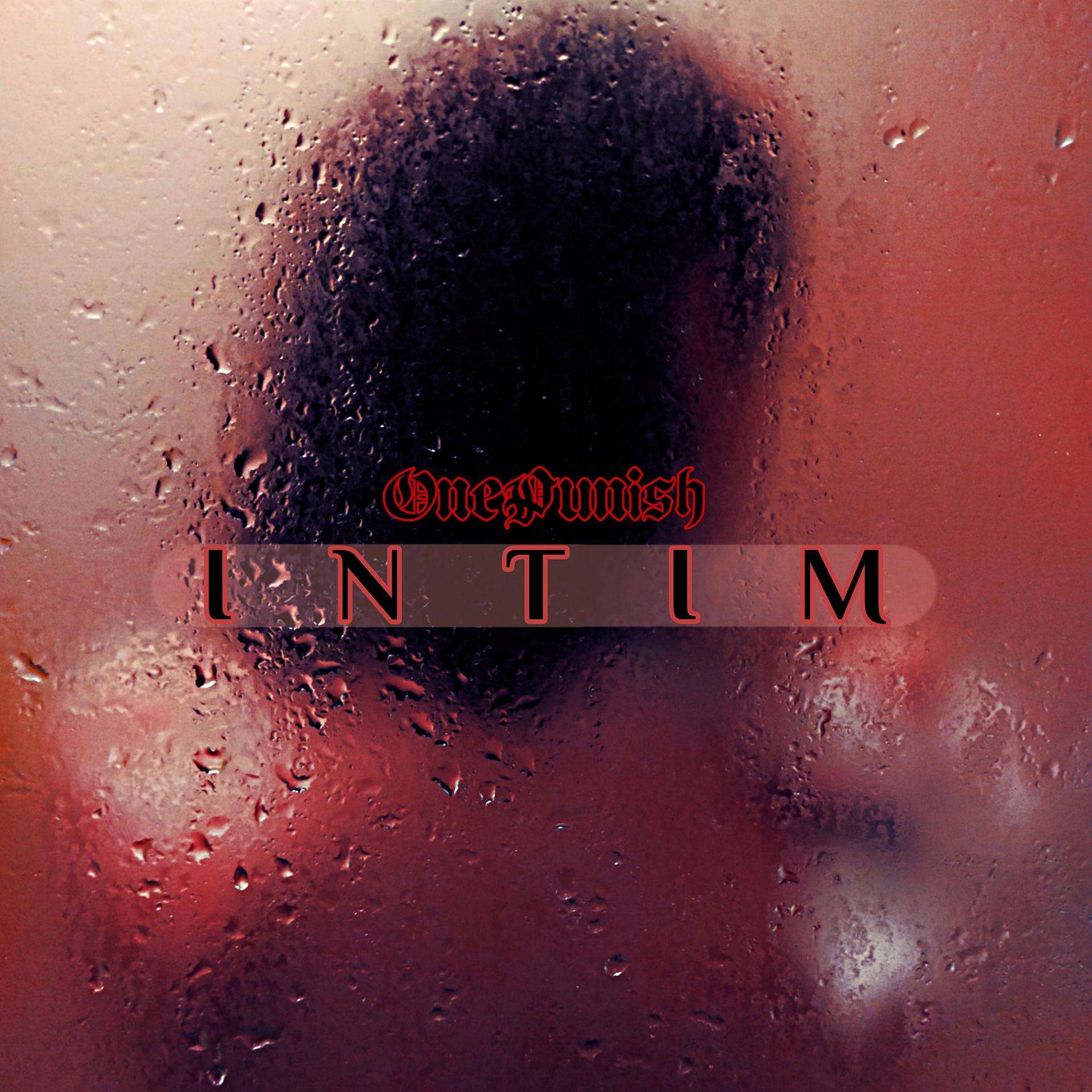 Постер альбома Intim