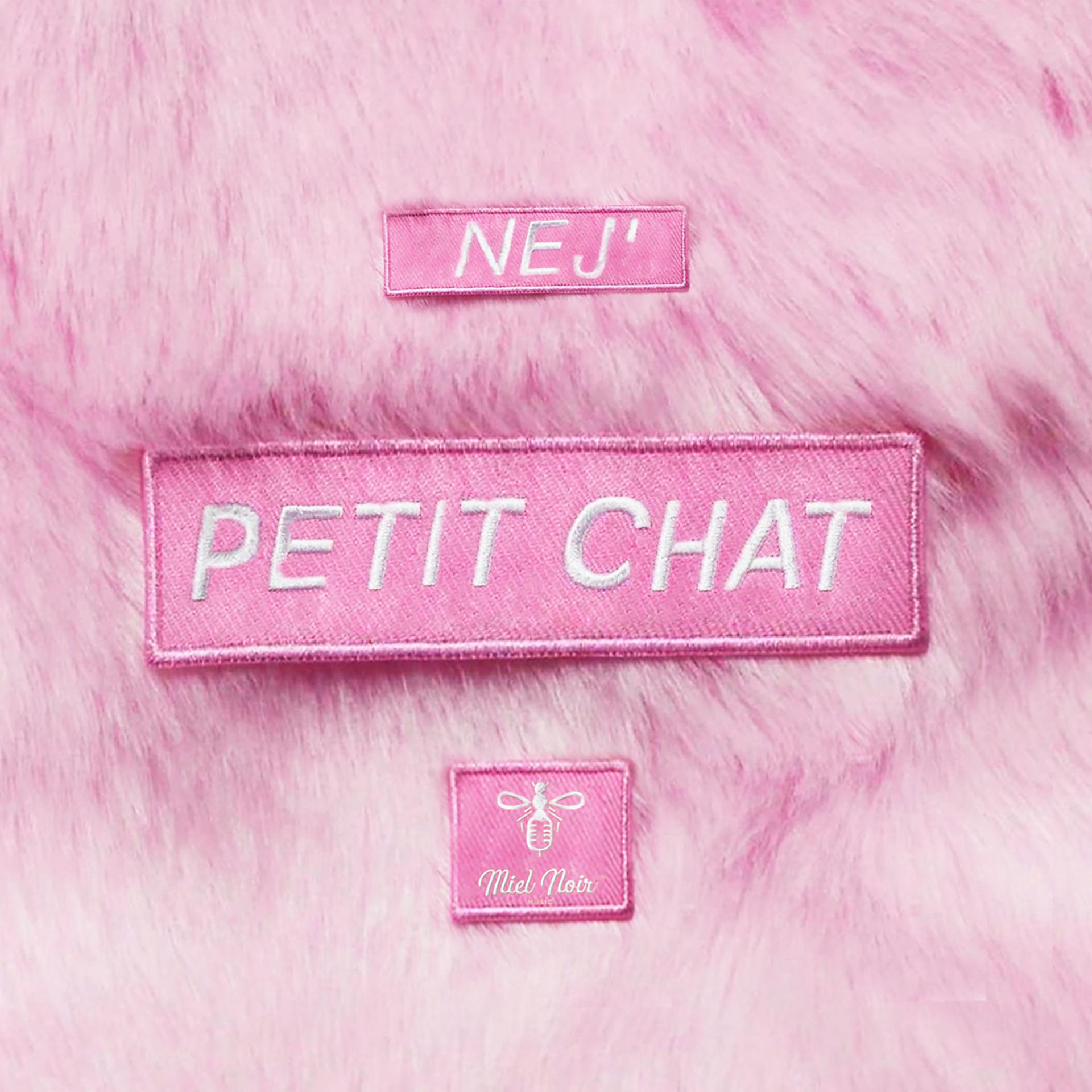 Постер альбома Petit chat