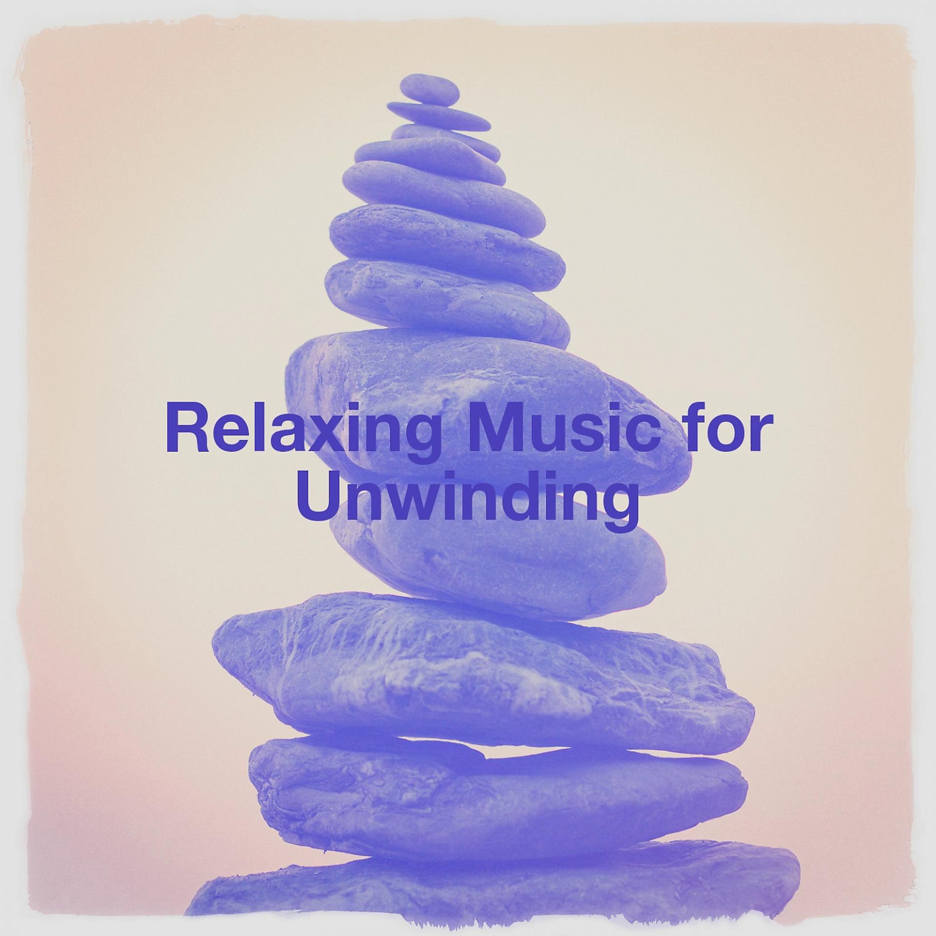 Постер альбома Relaxing Music for Unwinding