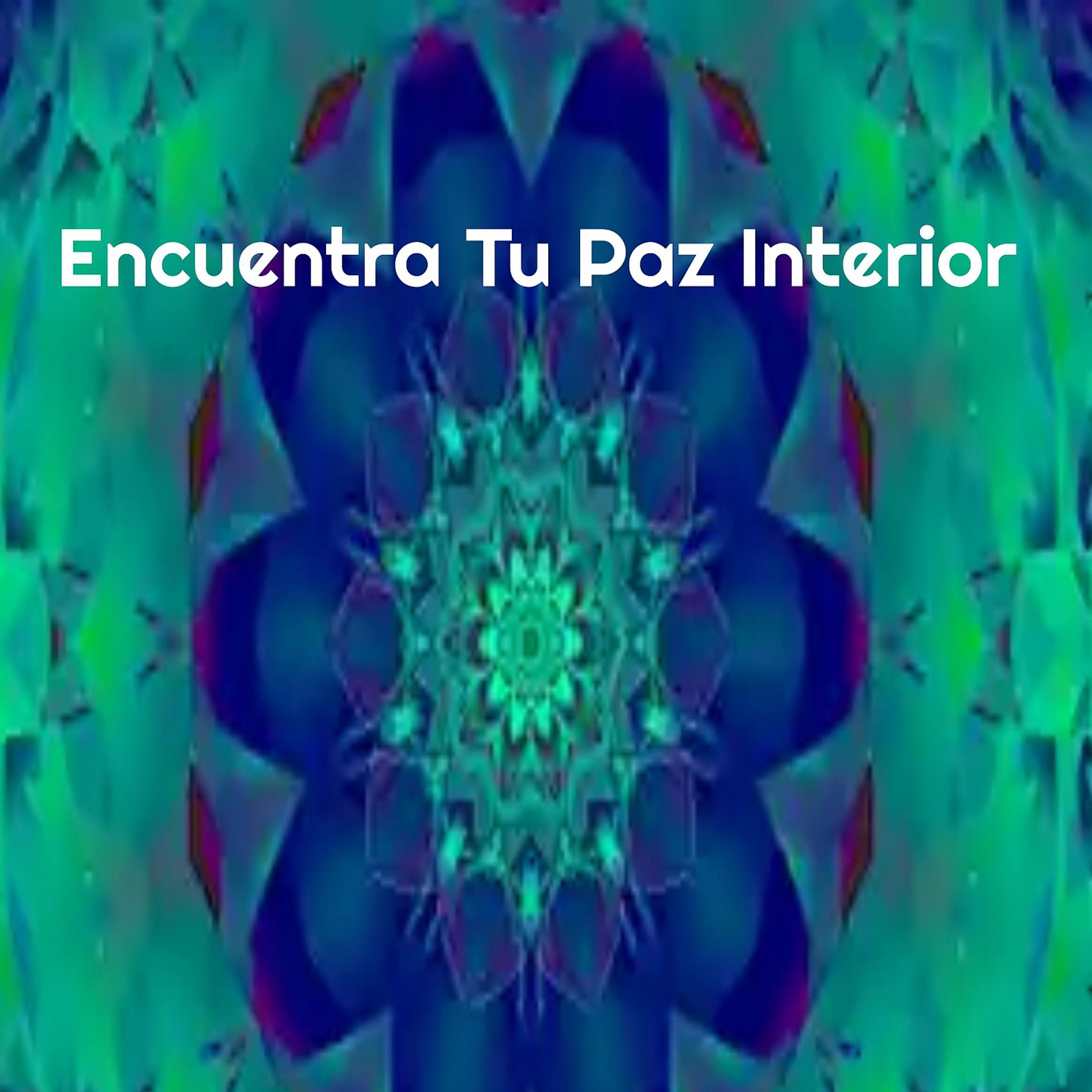 Постер альбома Encuentra Tu Paz Interior
