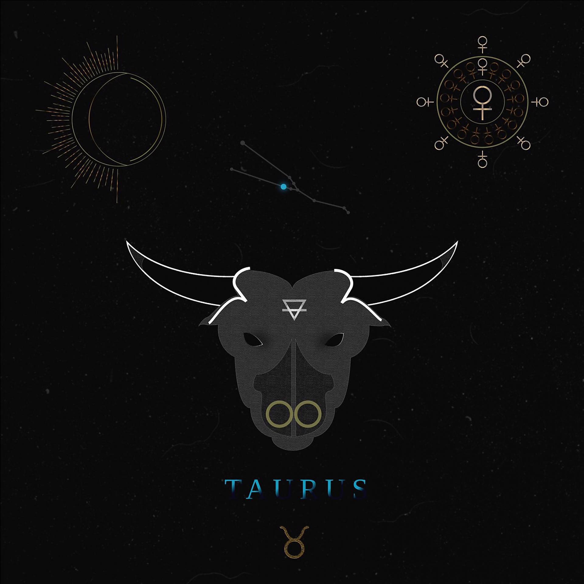 Постер альбома Taurus