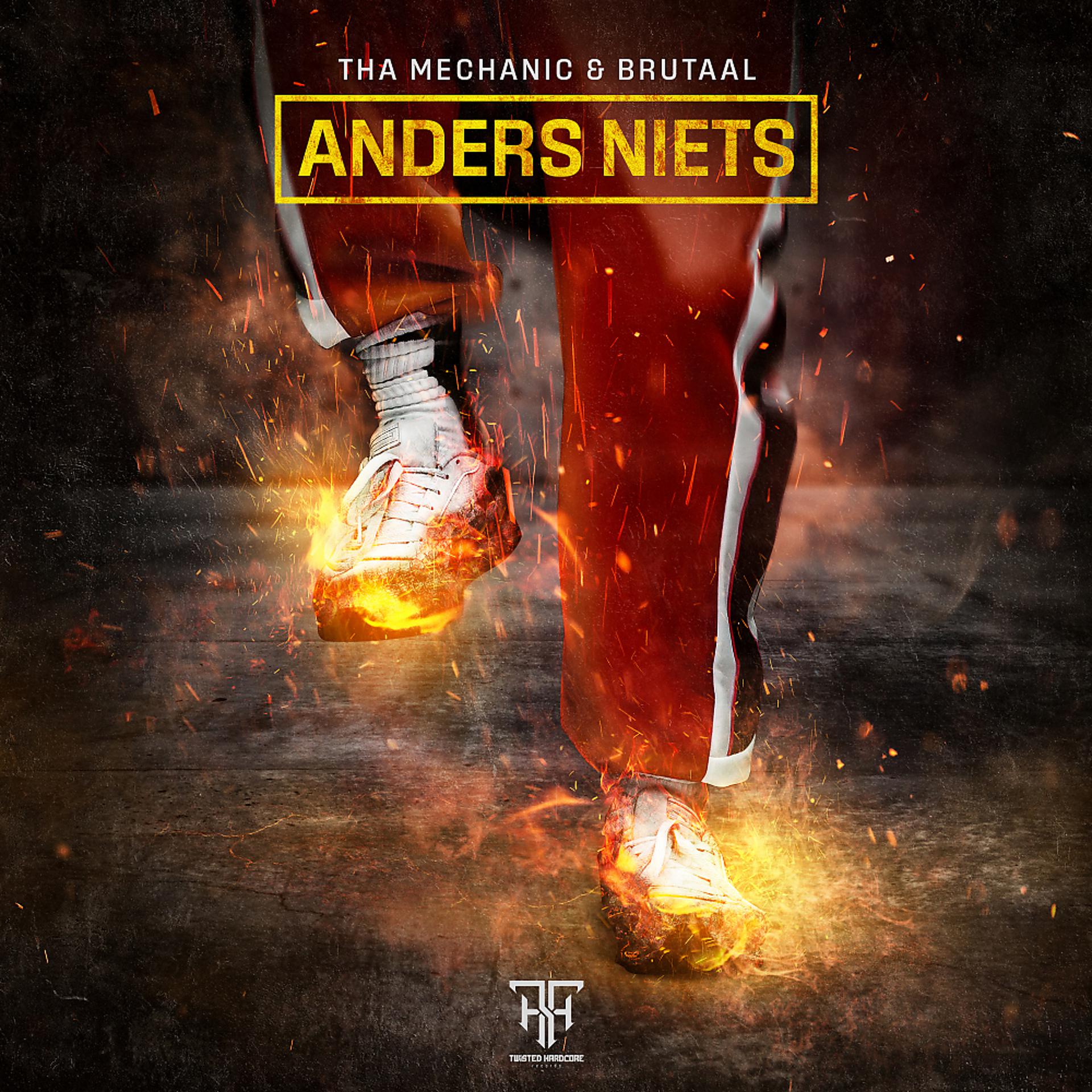 Постер альбома Anders Niets