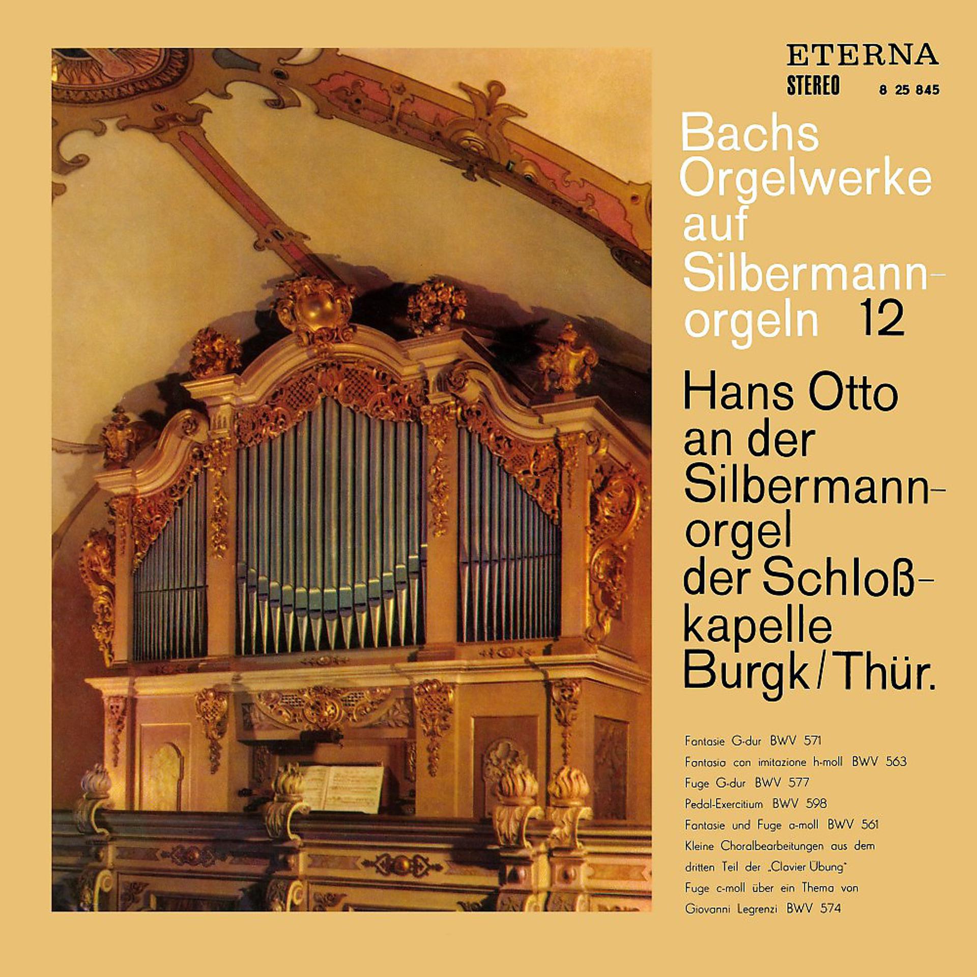 Постер альбома Bach: Orgelwerke auf Silbermannorgeln 12