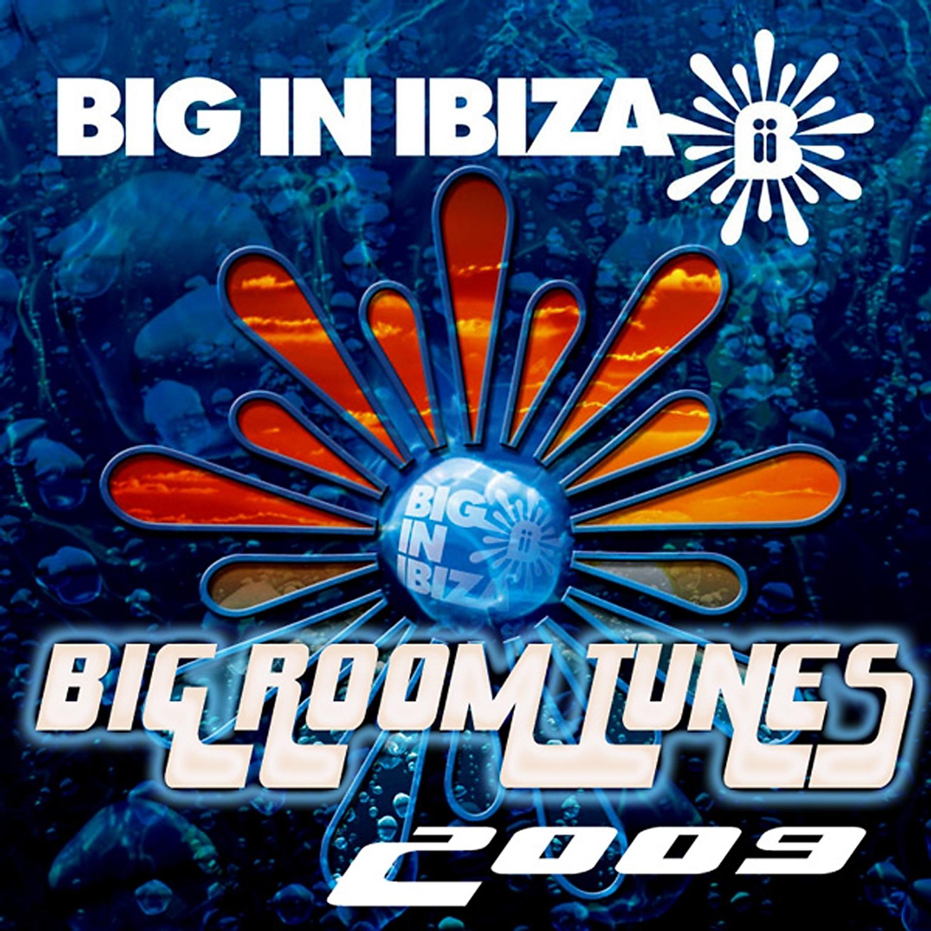 Постер альбома Big Room Tunes 2009
