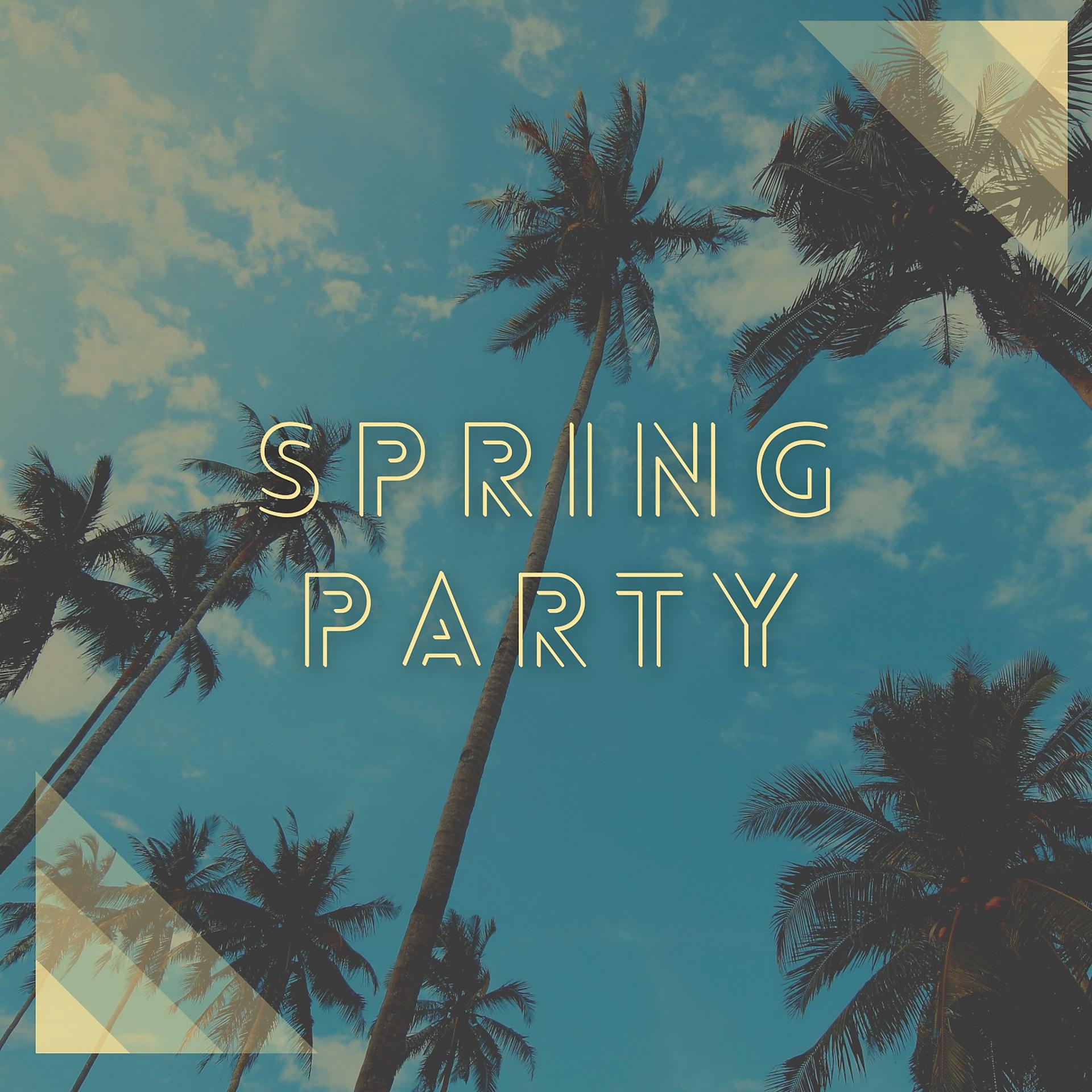 Постер альбома Spring Party