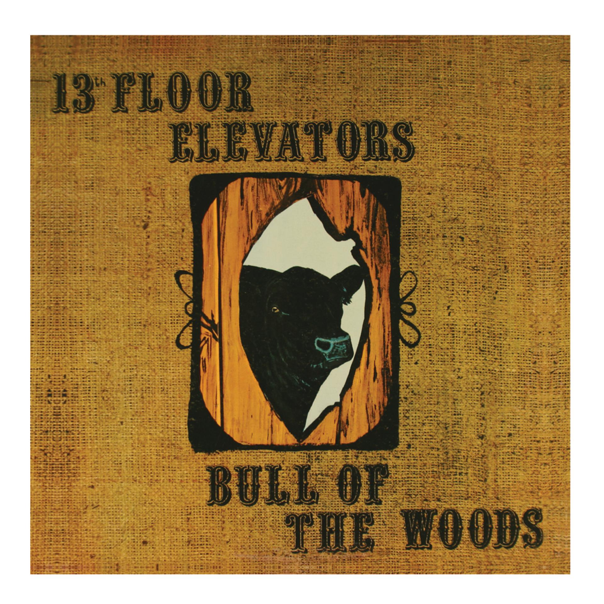 Постер альбома Bull of the Woods