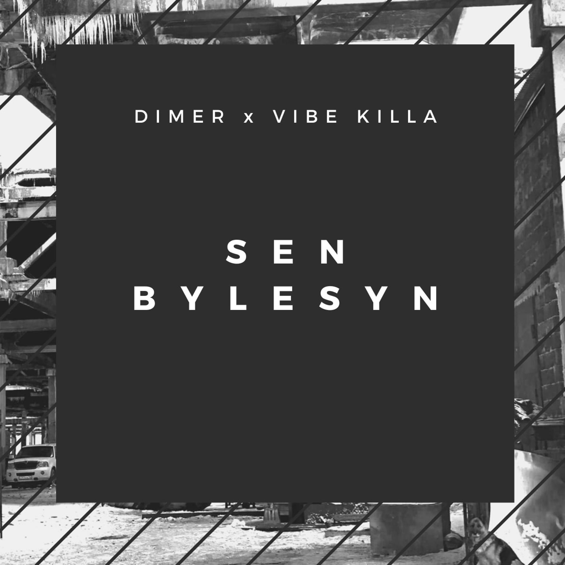 Постер альбома Sen Bylesyn