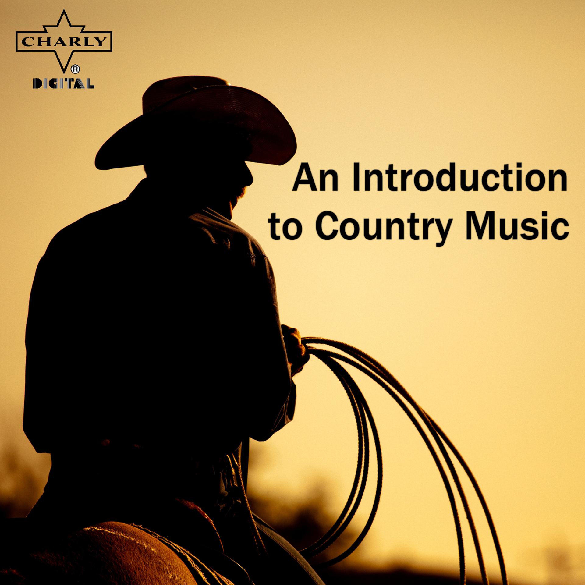 Постер альбома An Introduction to Country Music