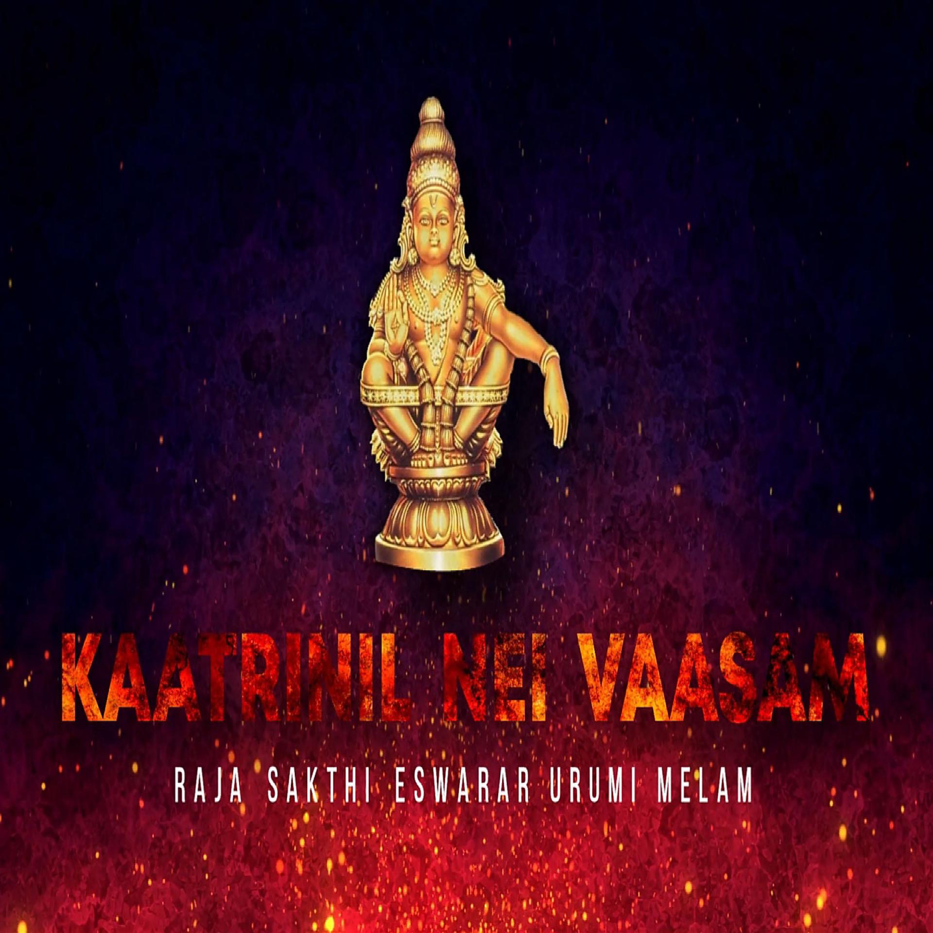 Постер альбома Kaatrinil Nei Vaasam