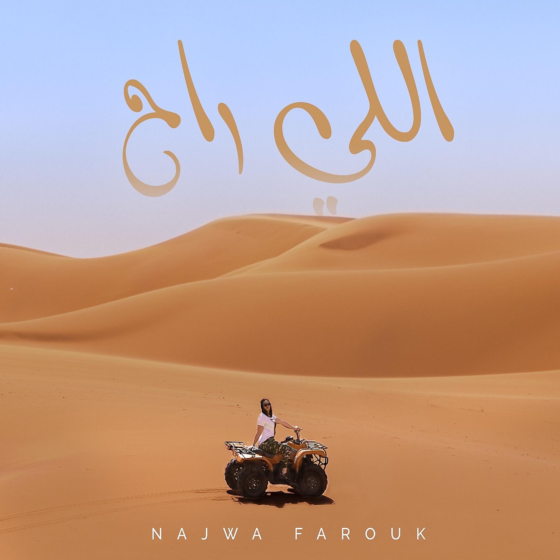 Постер альбома اللي راح