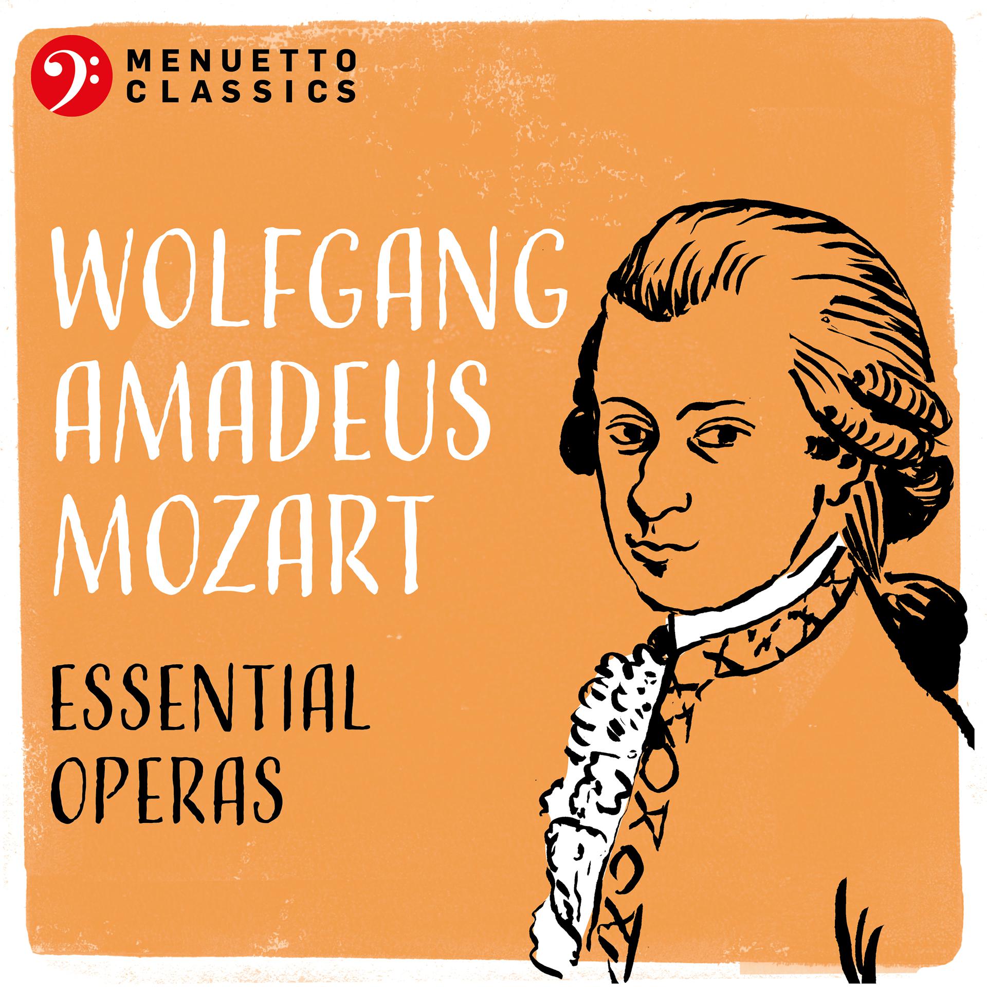 Постер альбома Wolfgang Amadeus Mozart: Essential Operas