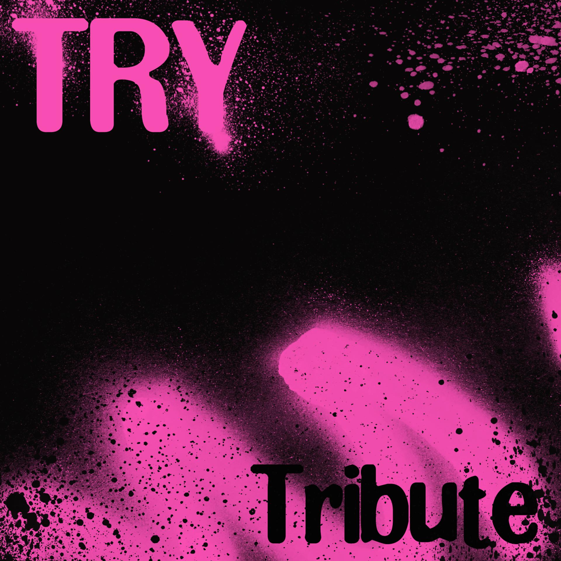 Постер альбома Try (Pink Tribute)