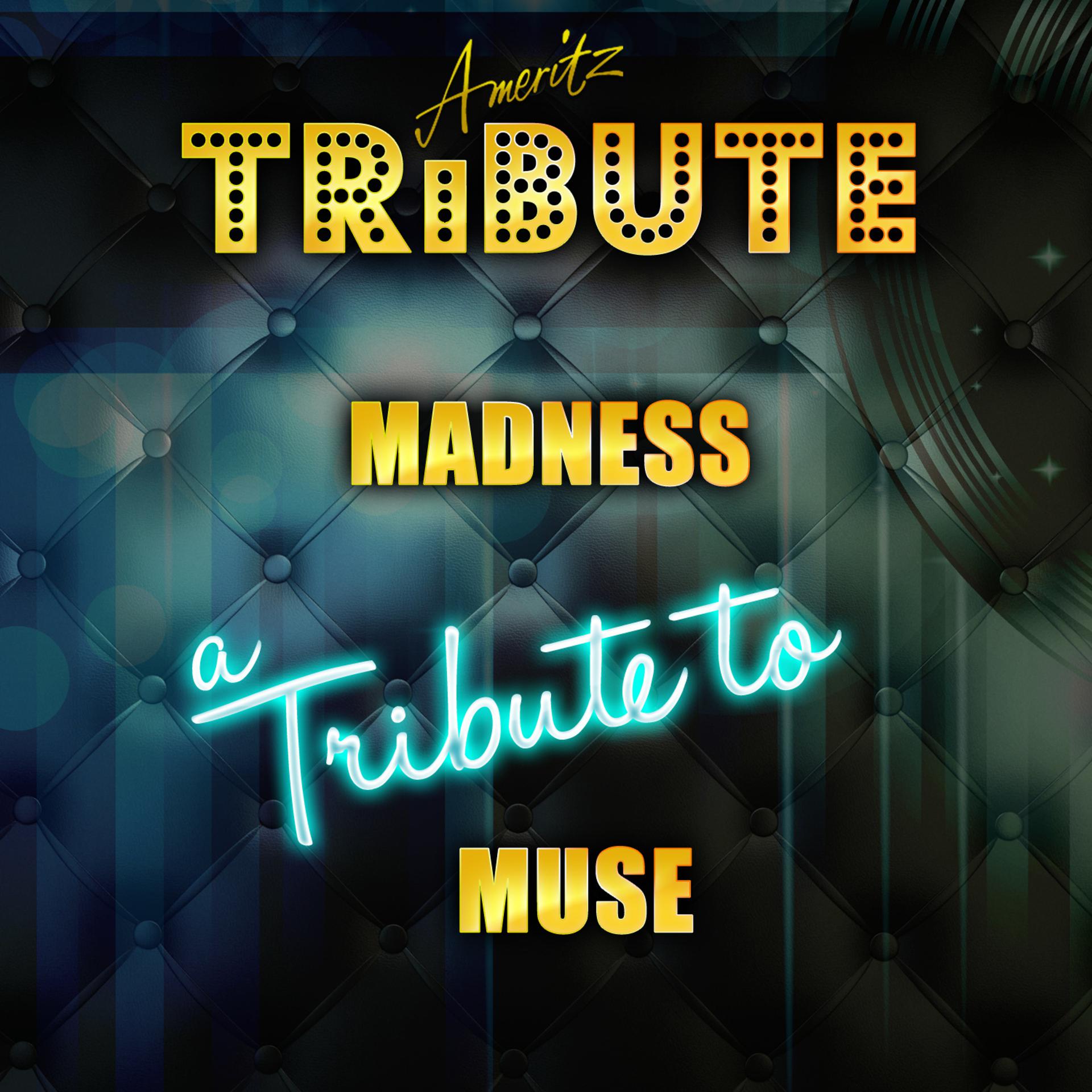 Постер альбома Madness (A Tribute to Muse)