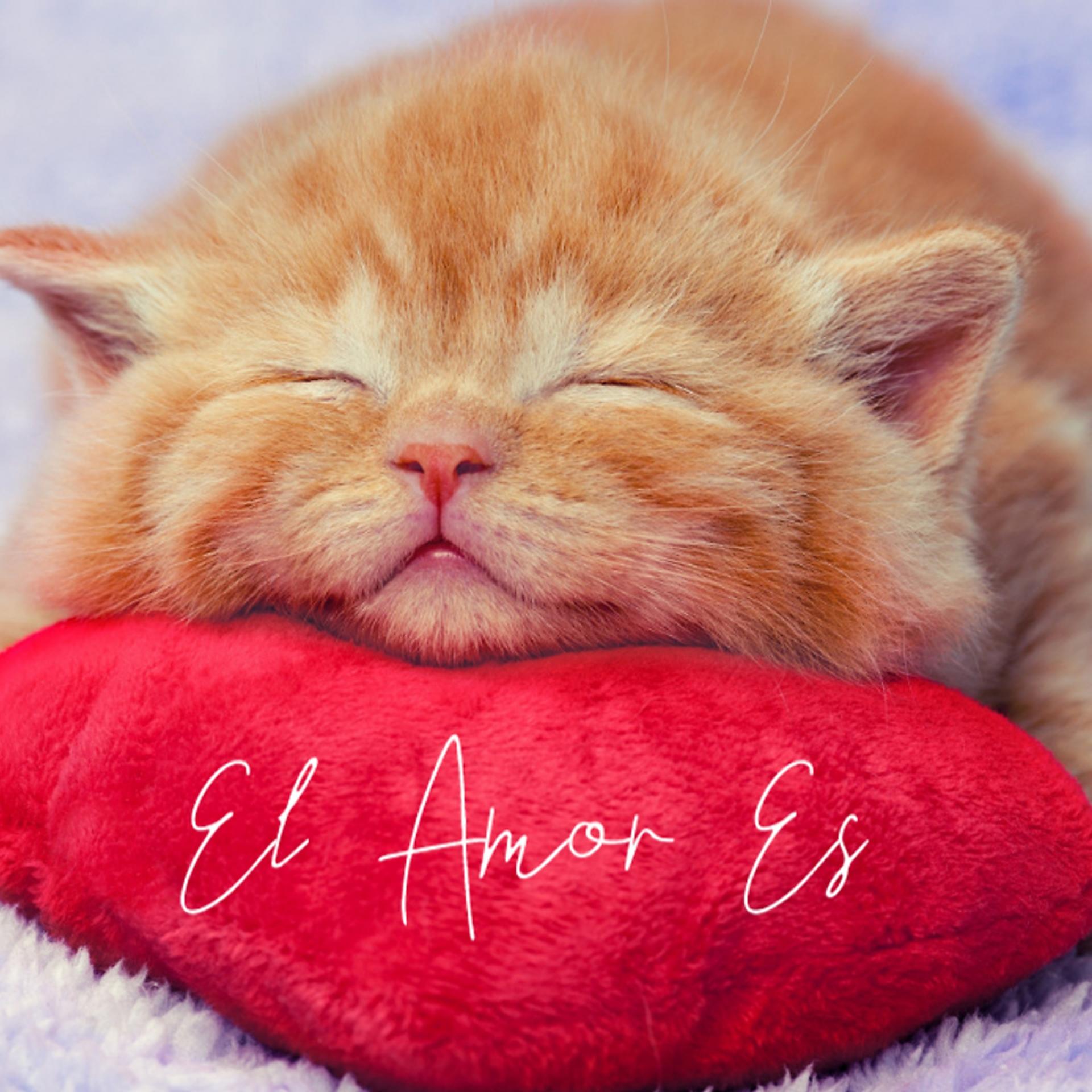 Постер альбома El Amor Es Asi