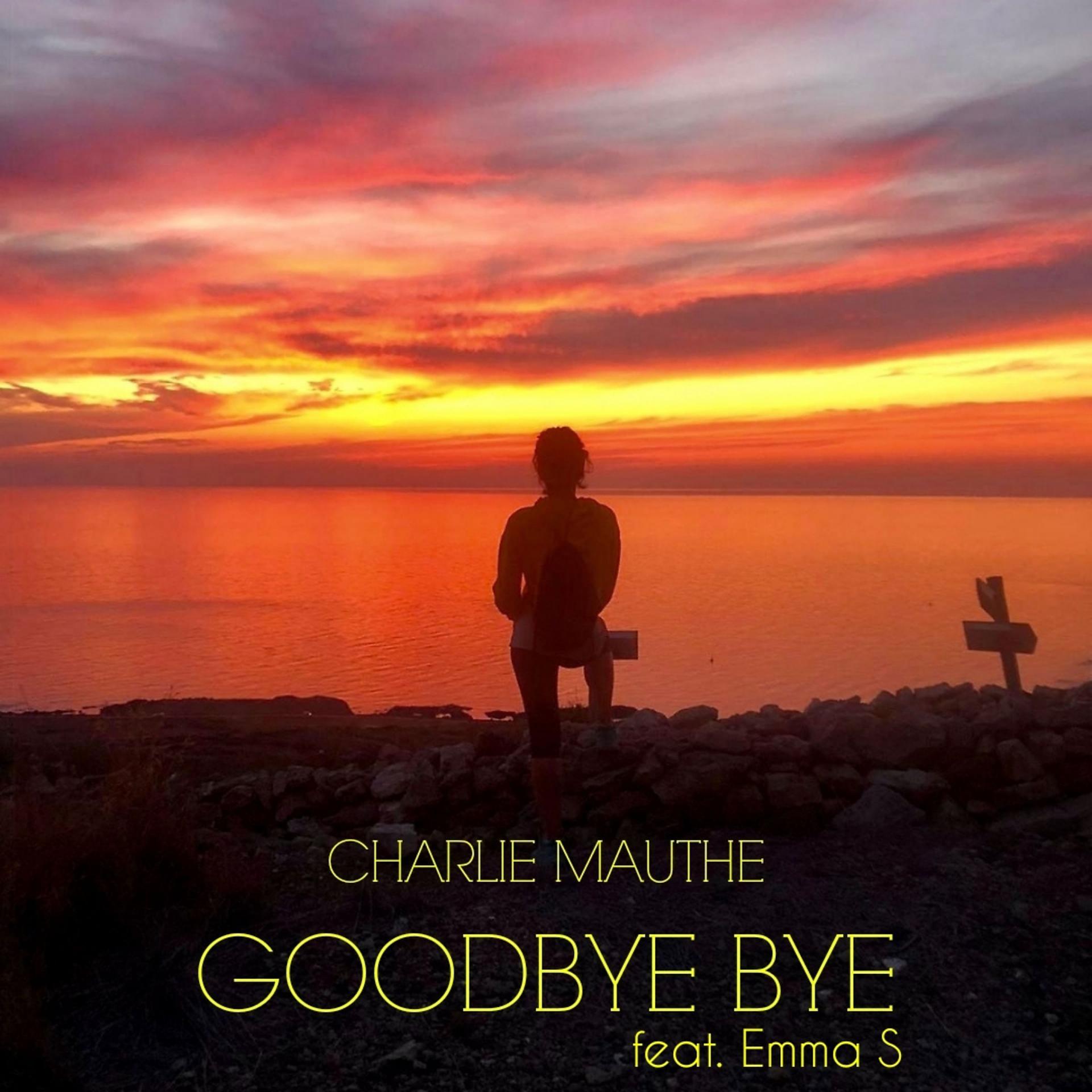 Постер альбома Goodbye Bye