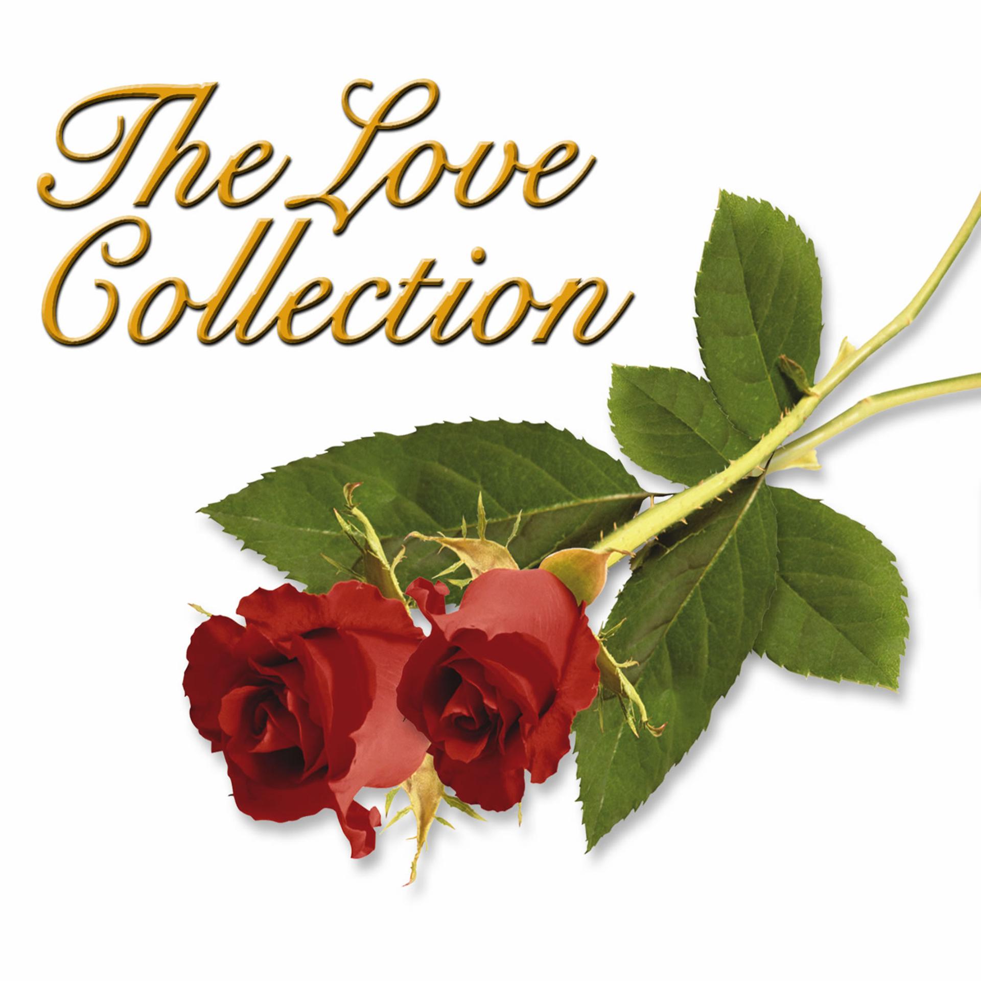 Постер альбома The Love Collection