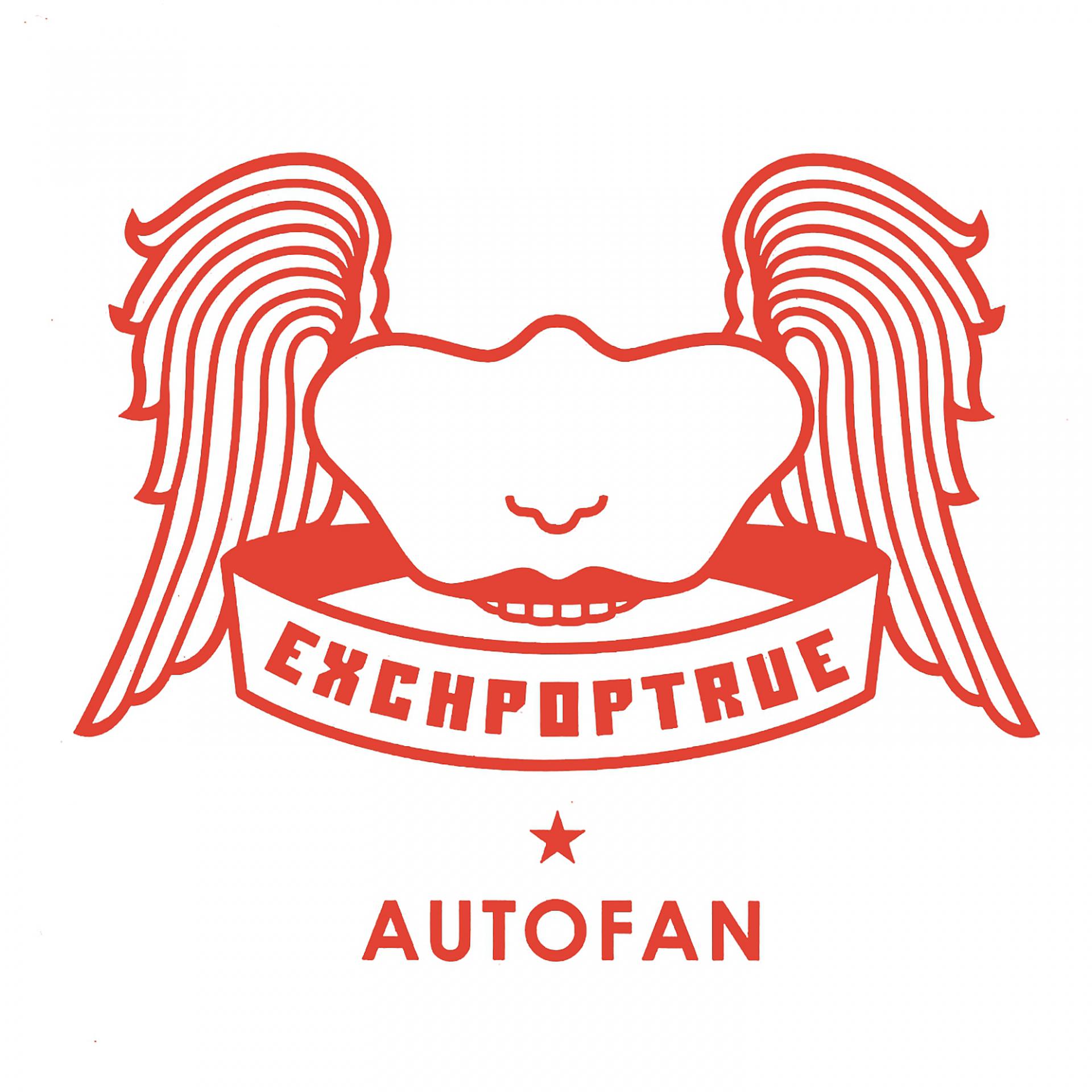 Постер альбома Autofan
