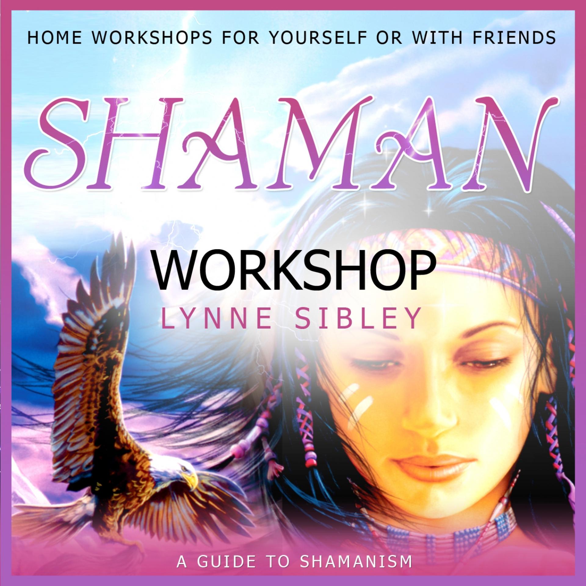 Постер альбома Shaman Workshop