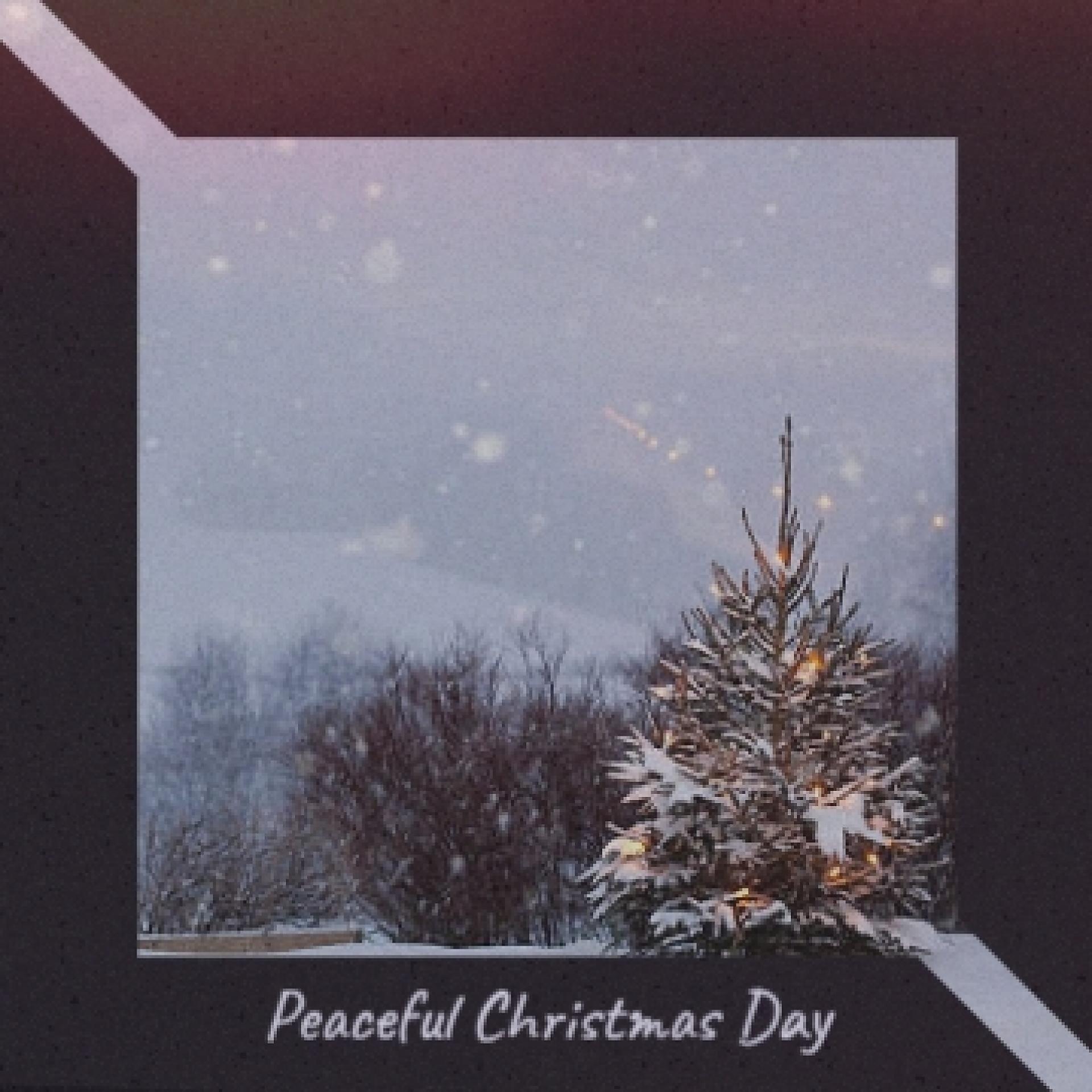 Постер альбома Peaceful Christmas Day