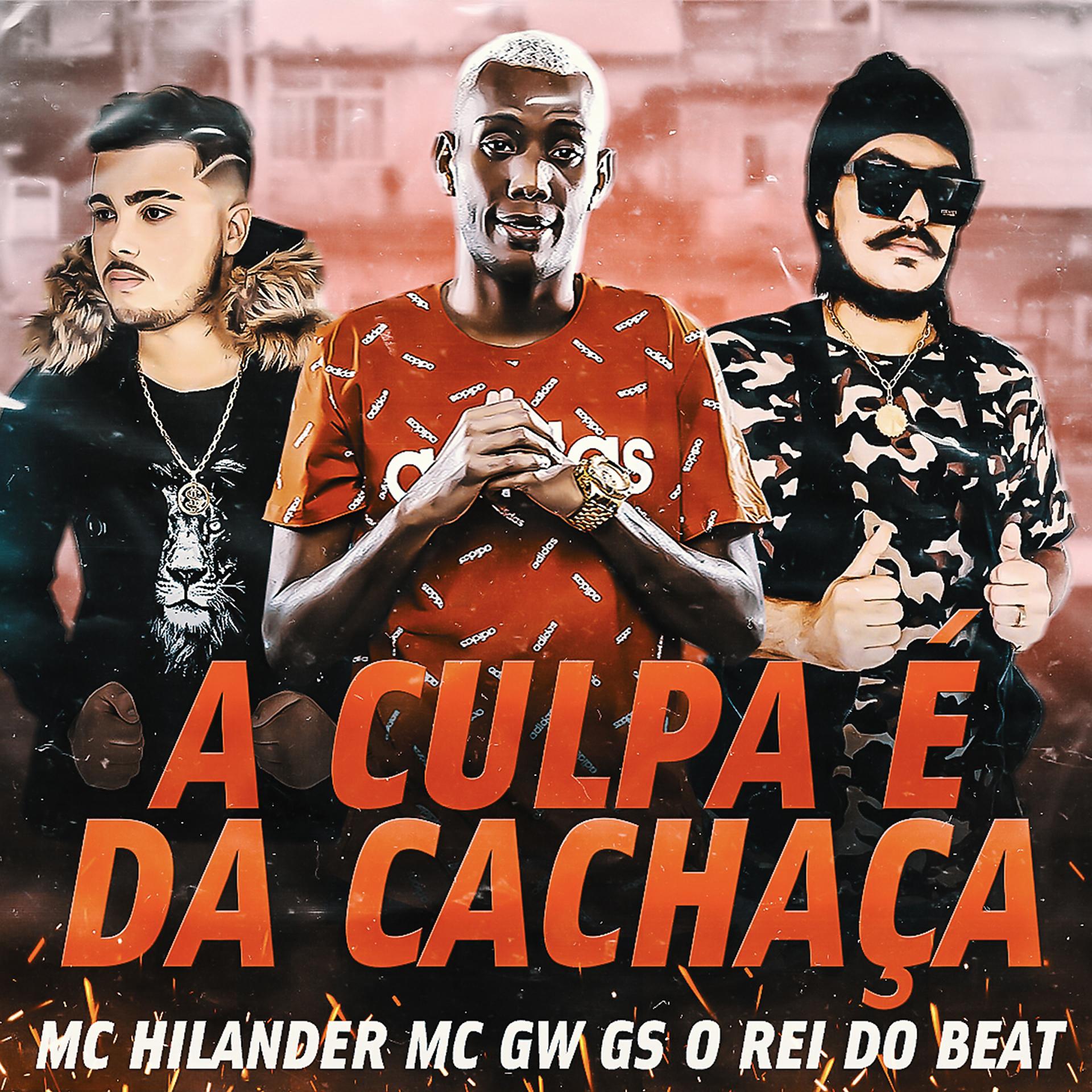 Постер альбома A Culpa É da Cachaça