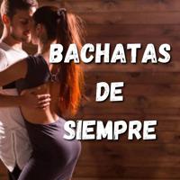 Текст El Chaval De La Bachata - Hablame de Ti перевод слова песни...