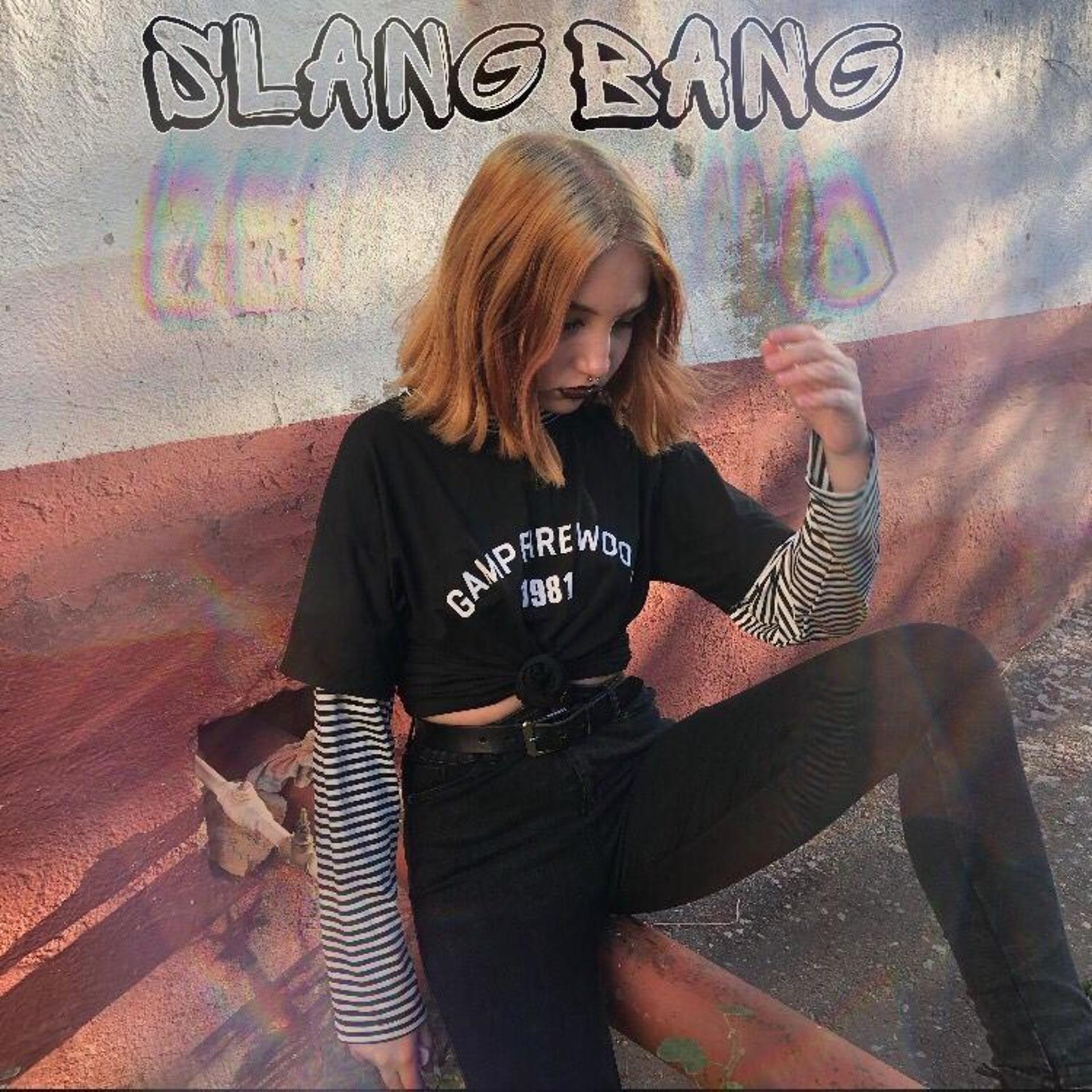 Постер альбома Slang Bang
